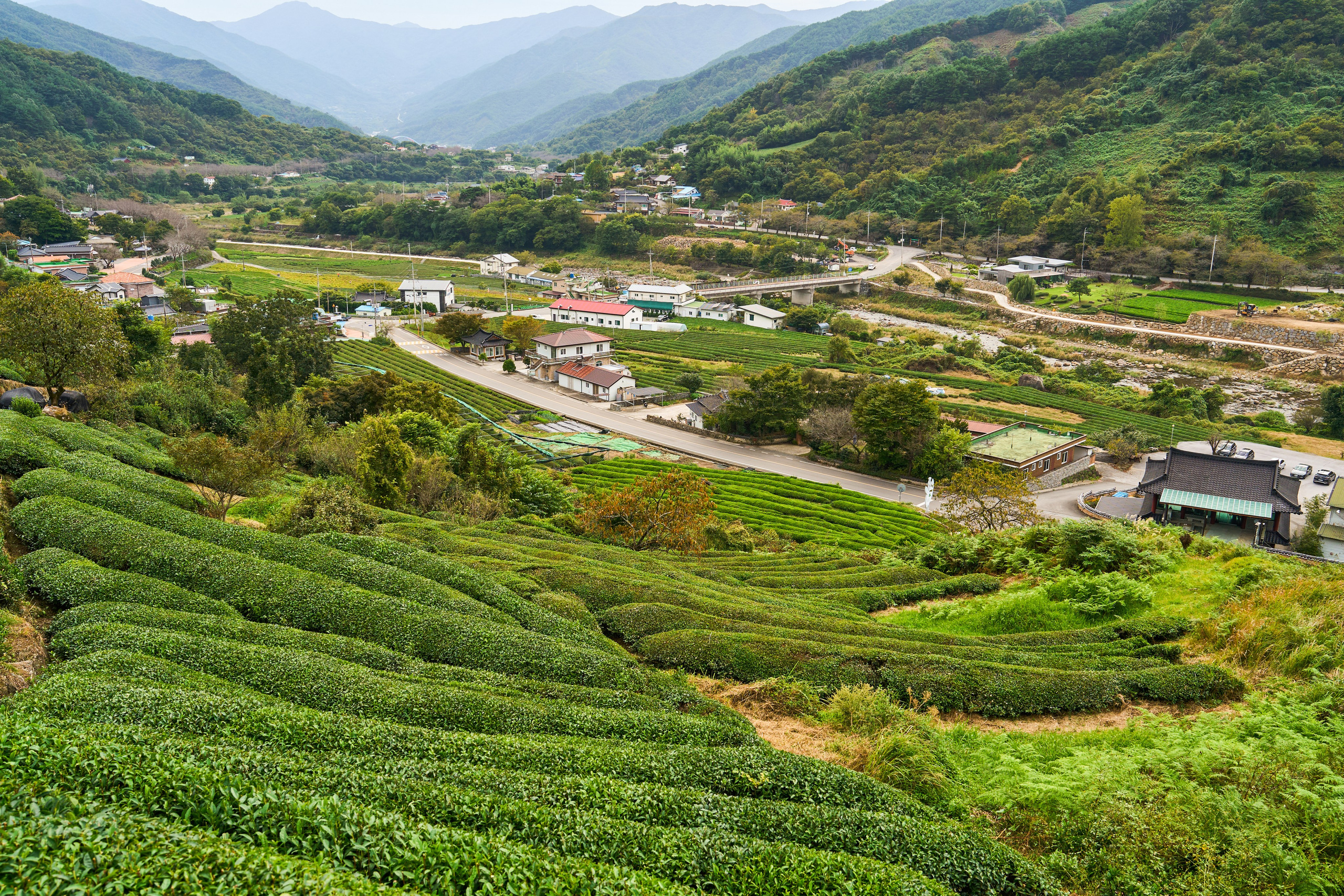 Fall 2024 – Hadong.