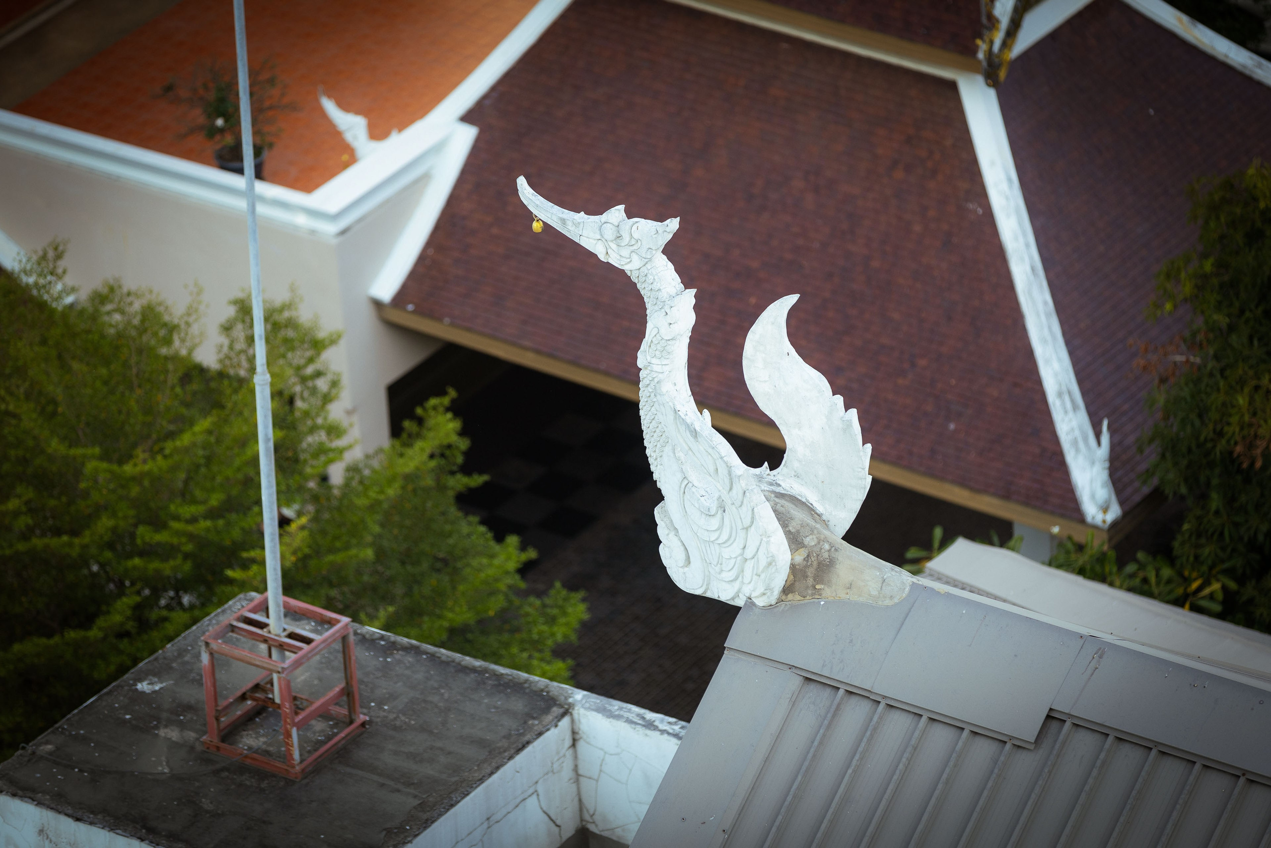 Таиланд (зима 2025). Фотограф Виноградов Константин