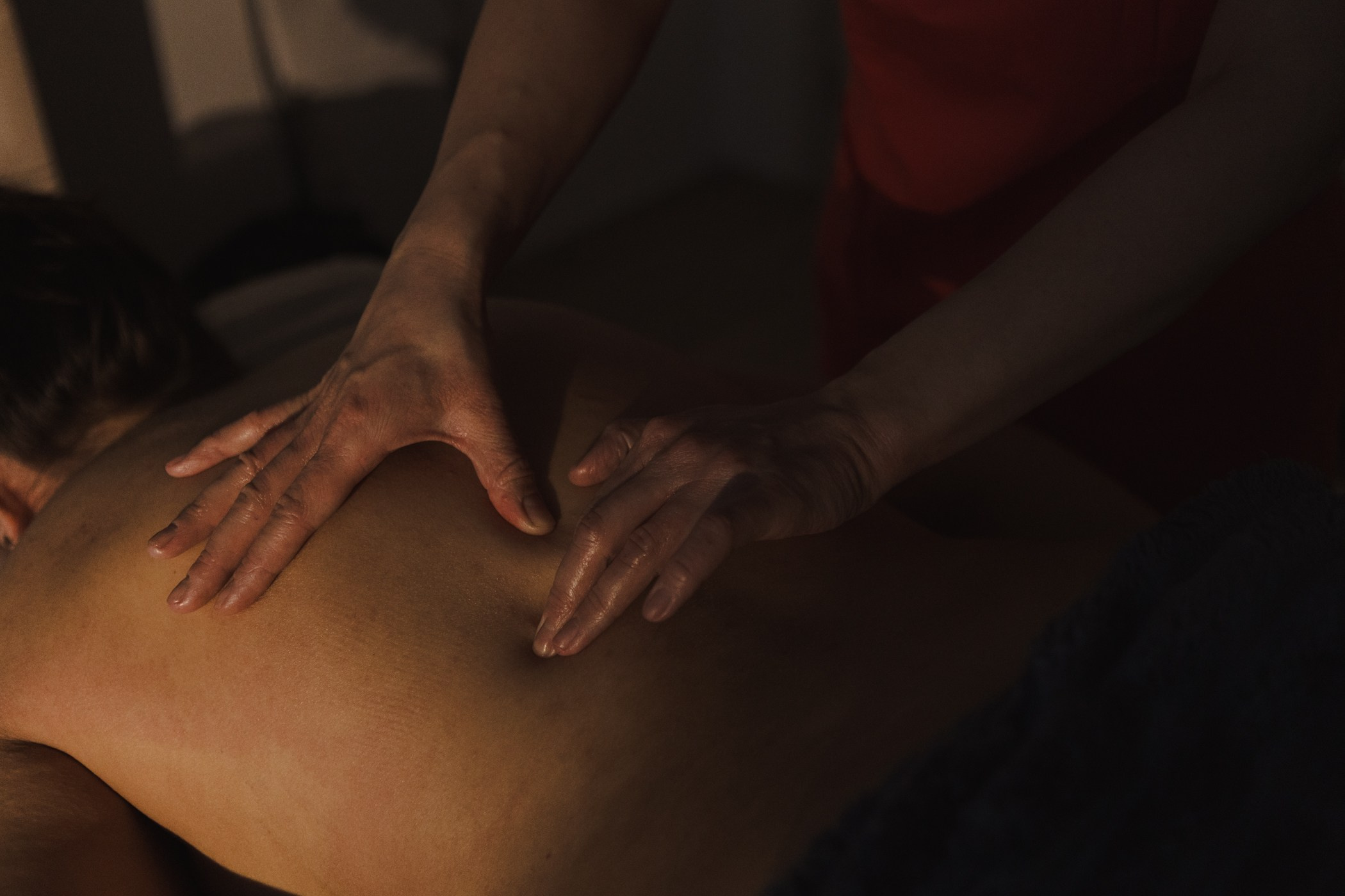 Контент-съёмка. Фотограф-анималист Полина Колкова | Москва