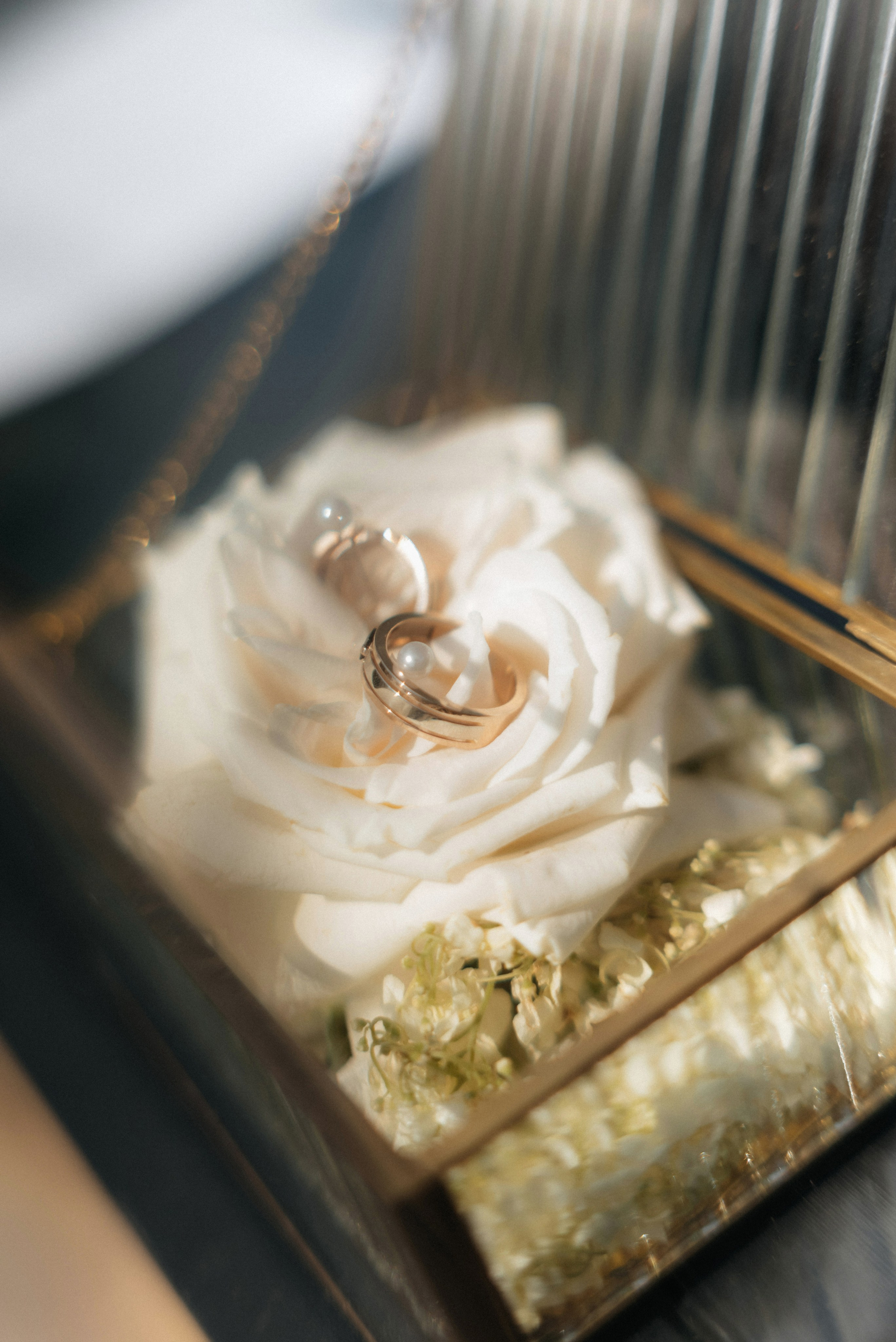 Янина и Семен. Свадебный и портретный фотограф в Минске Татьяна Лобода