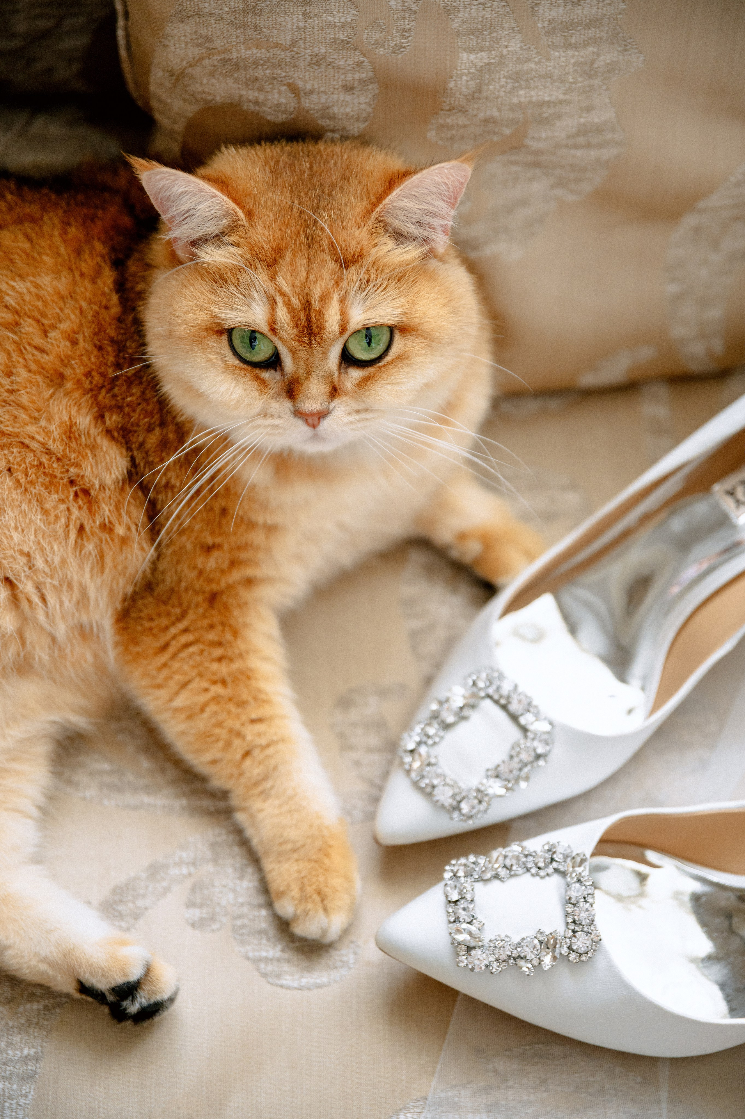 ЯНА и ЖЕНЯ. Шашкова Вероника / Свадебный и семейный фотограф Москва и Ярославль