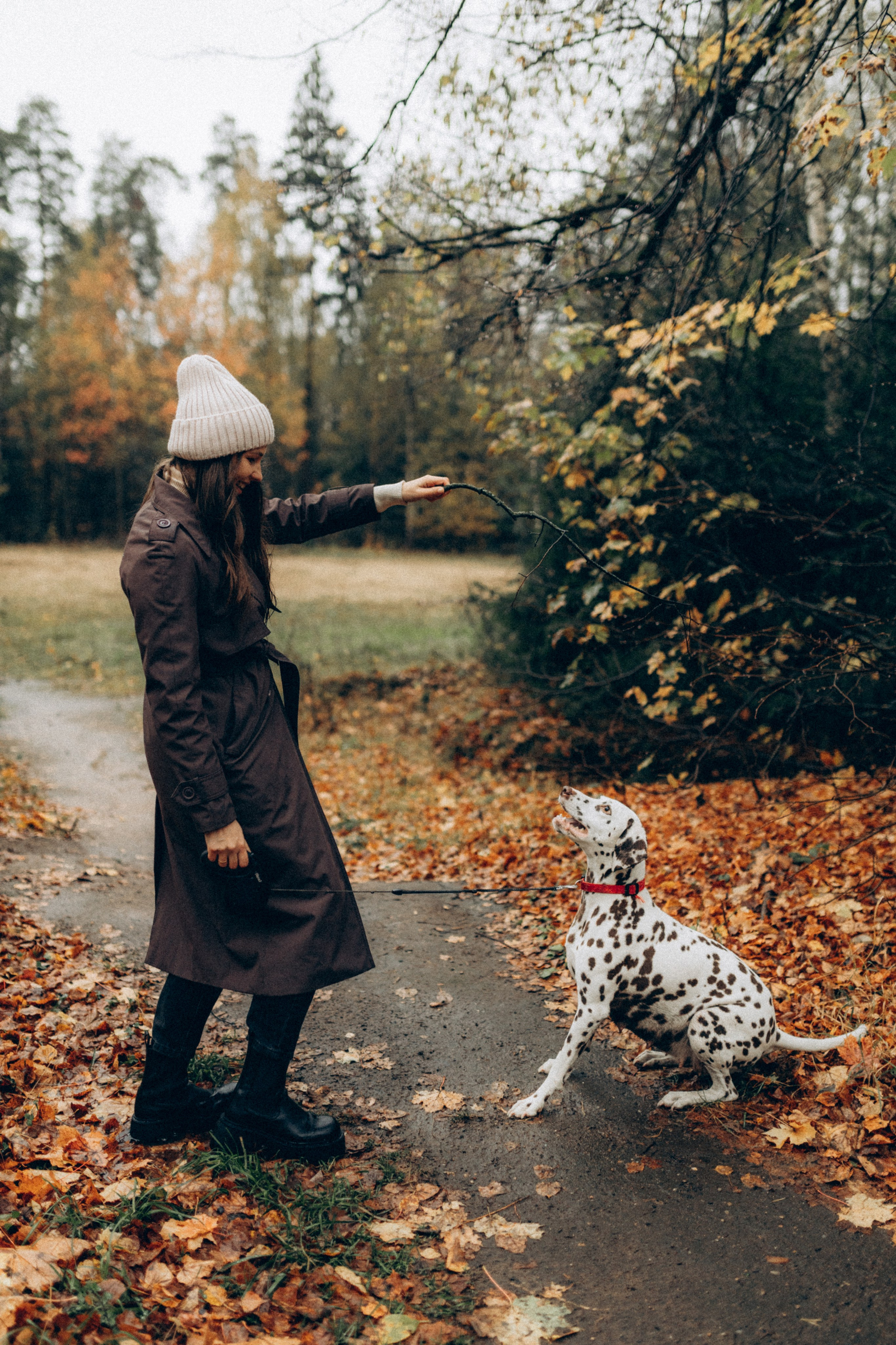 Анфиса & Нисма. Фотограф НОГИНСК, Москва, Анастасия Белая