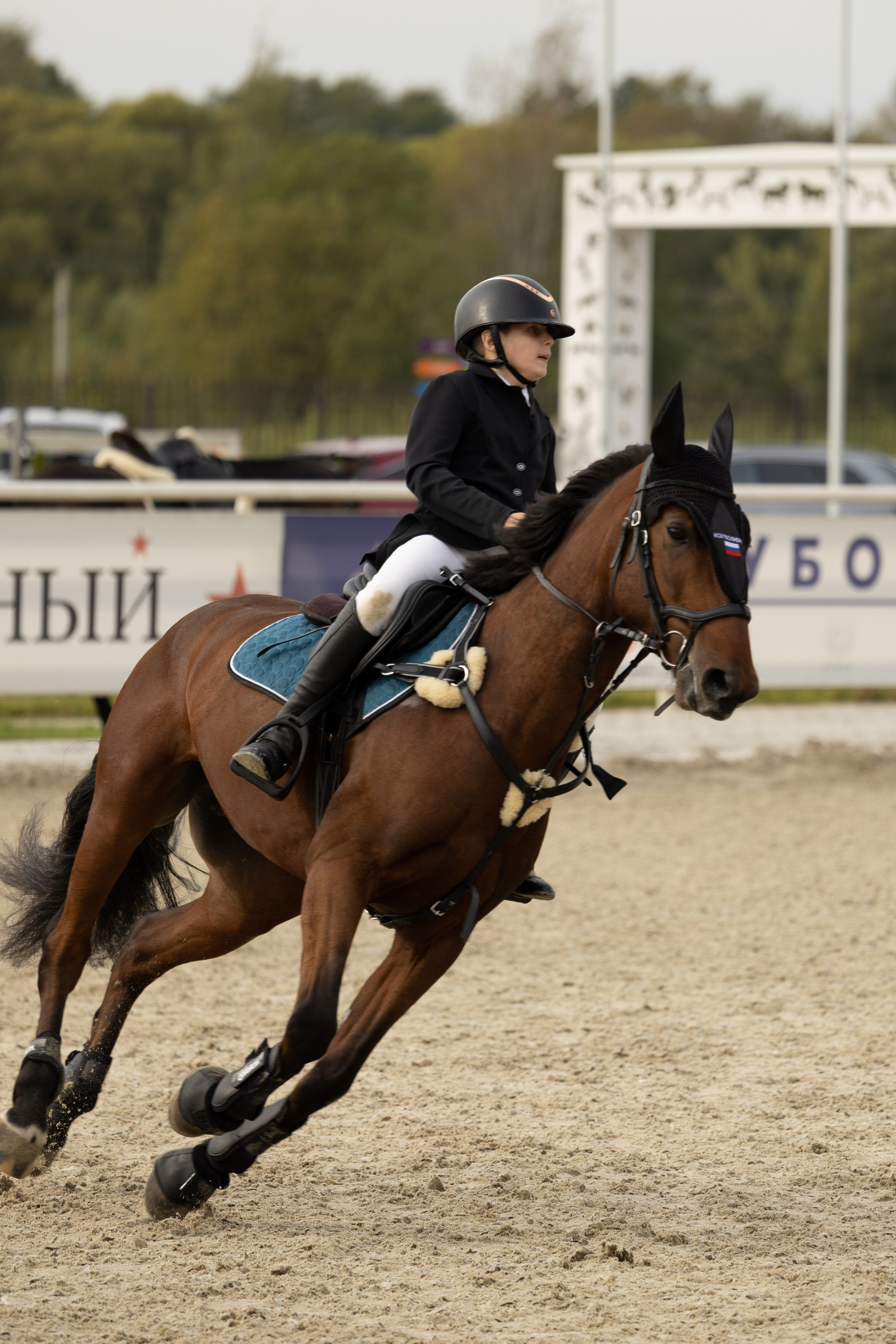 Соревнования по конкуру. Фотограф в Москве Светлана Богначева