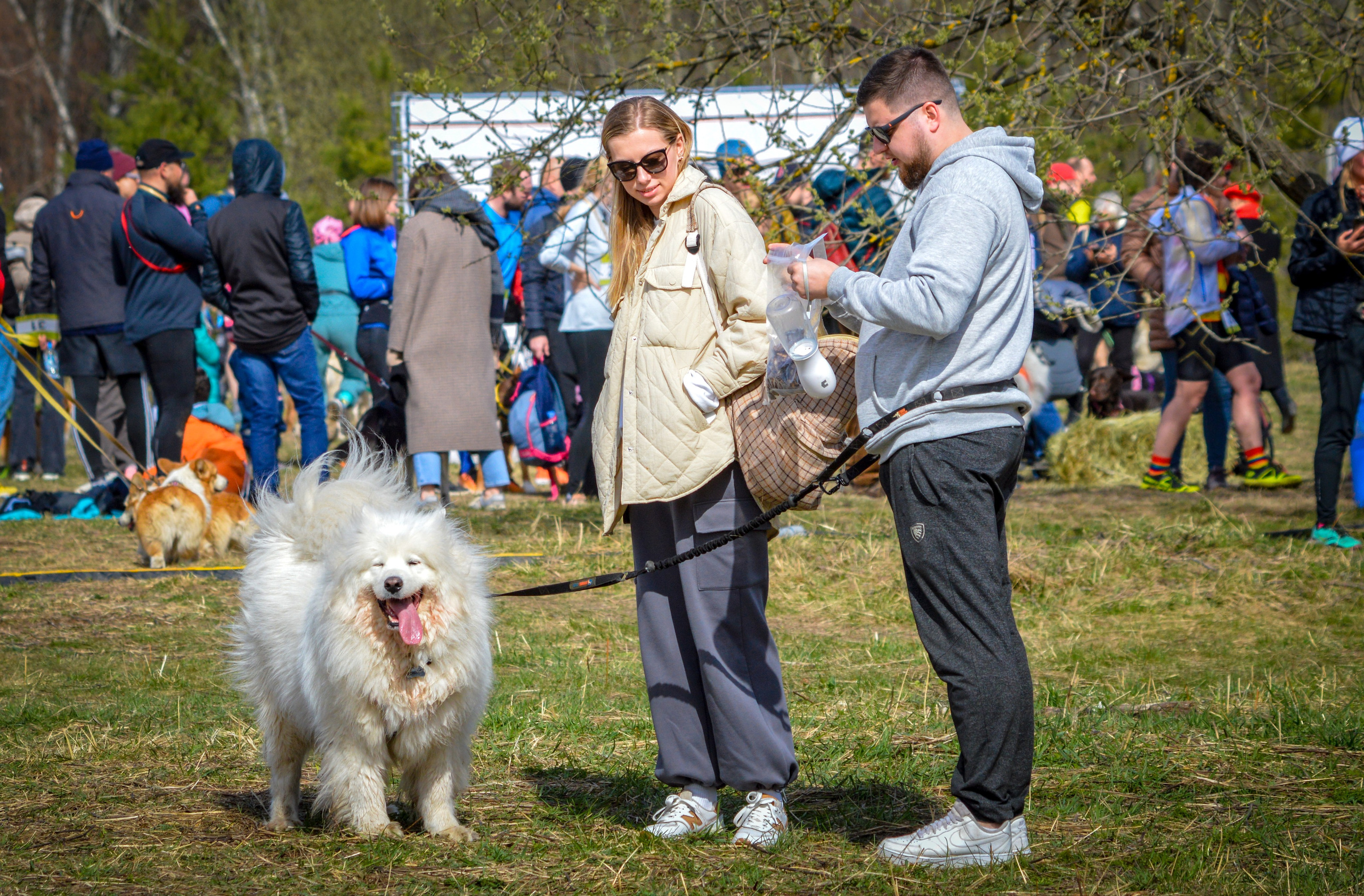 Кросс «Быстрый Пёс» — 15.04.2023. AlexFecto — галереи фотографий
