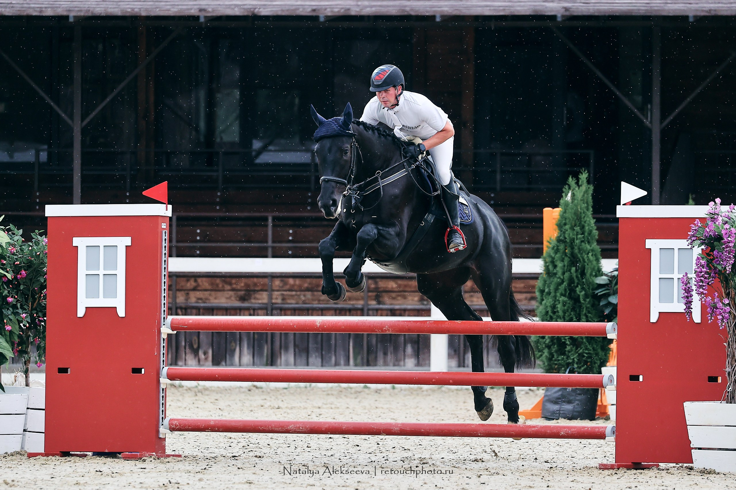 ЧР по конкуру среди молодых лошадей, КСК Horseka | 08'2023. Репортажный фотограф и ретушер в Москве Наталья Алексеева