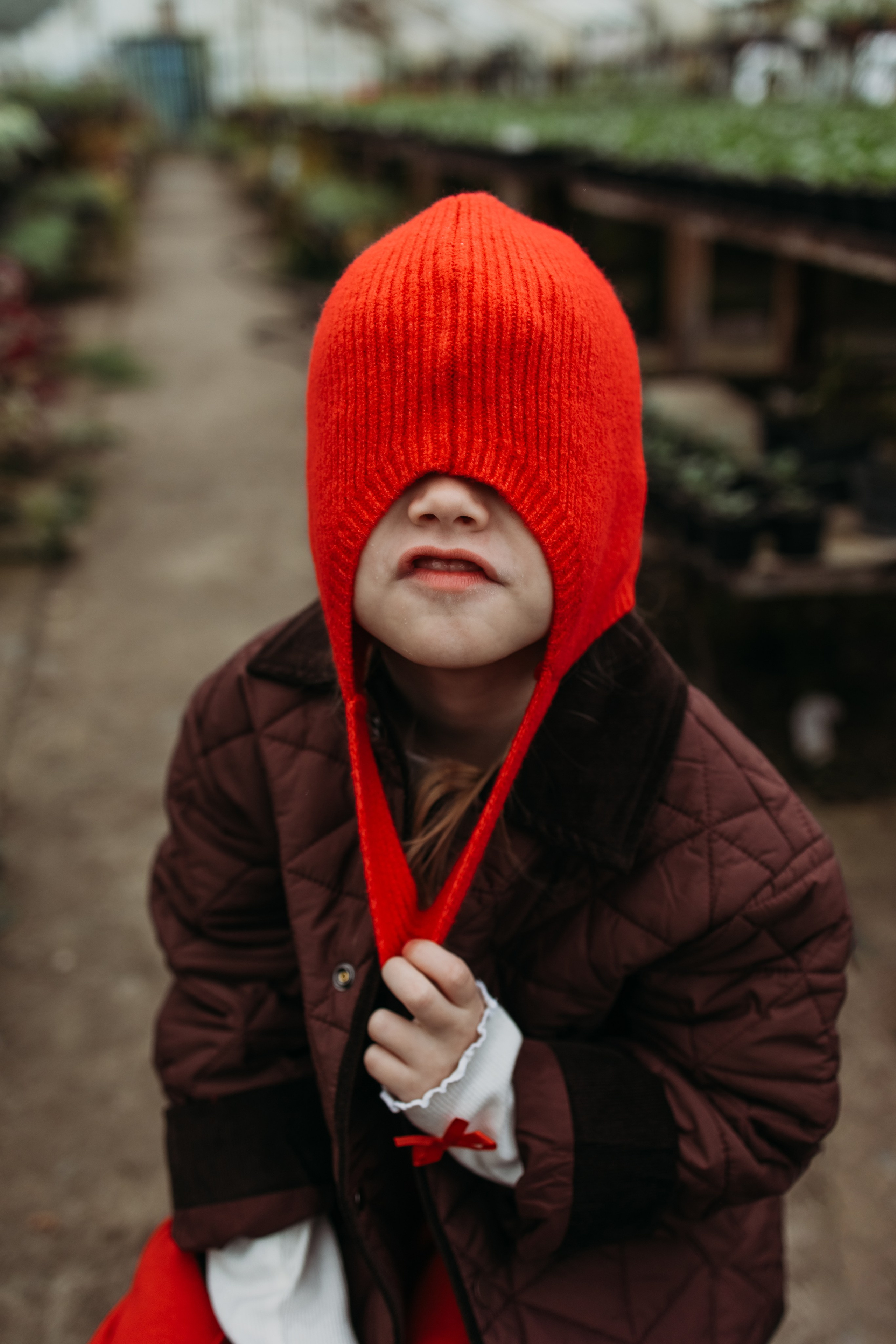 Теплица мацеста. Фотограф Сочи Татьяна Зорина