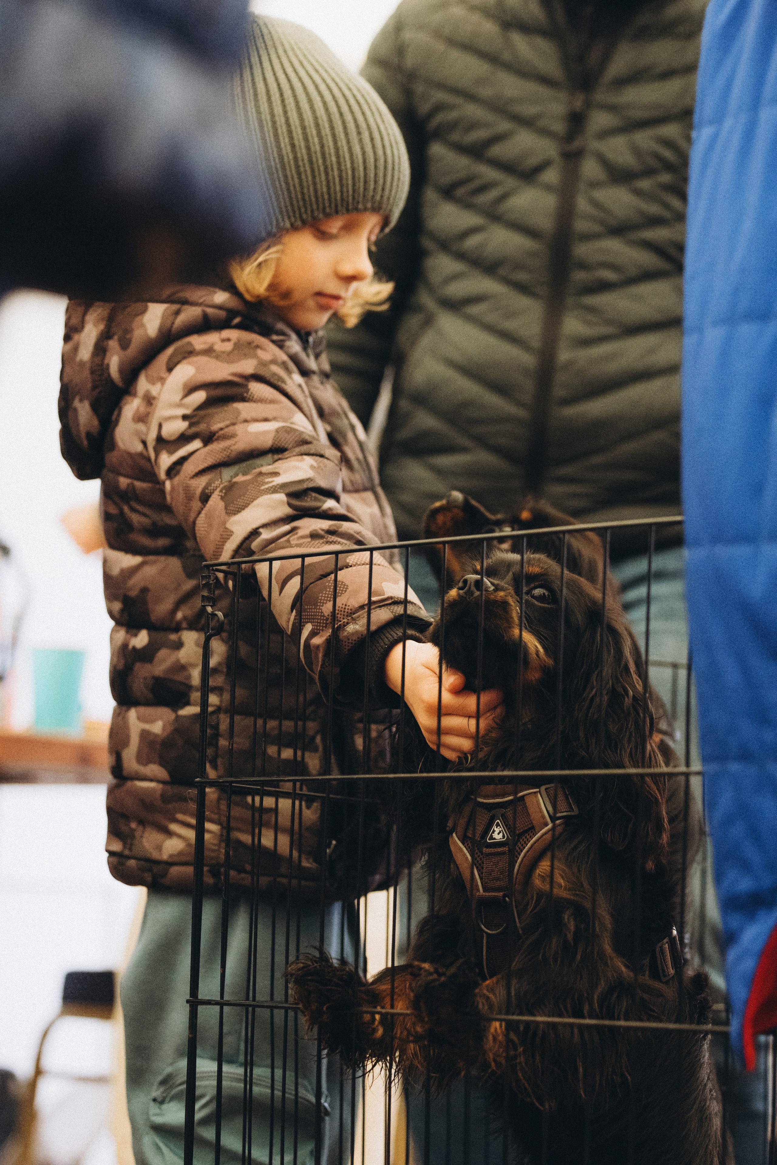 Встреча ККЧС. Фотограф анималист Осипчикова Мария