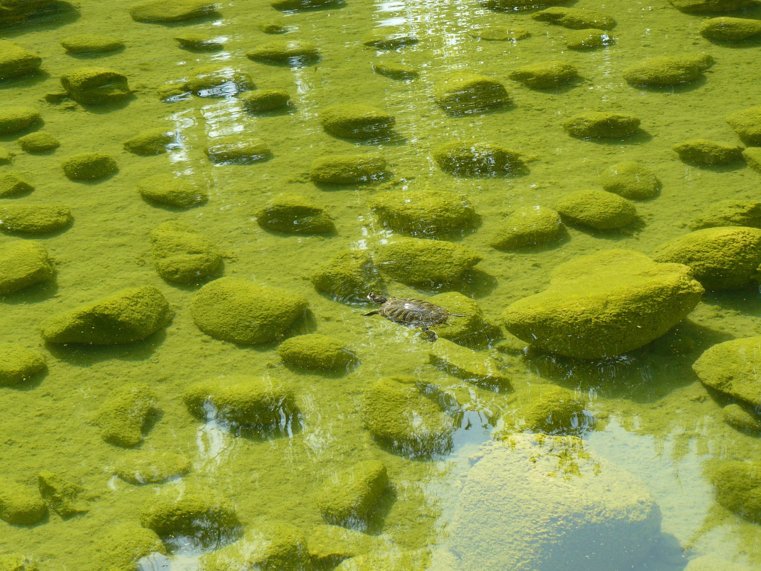 Анталия 2010. Фотопрогулки по Миру