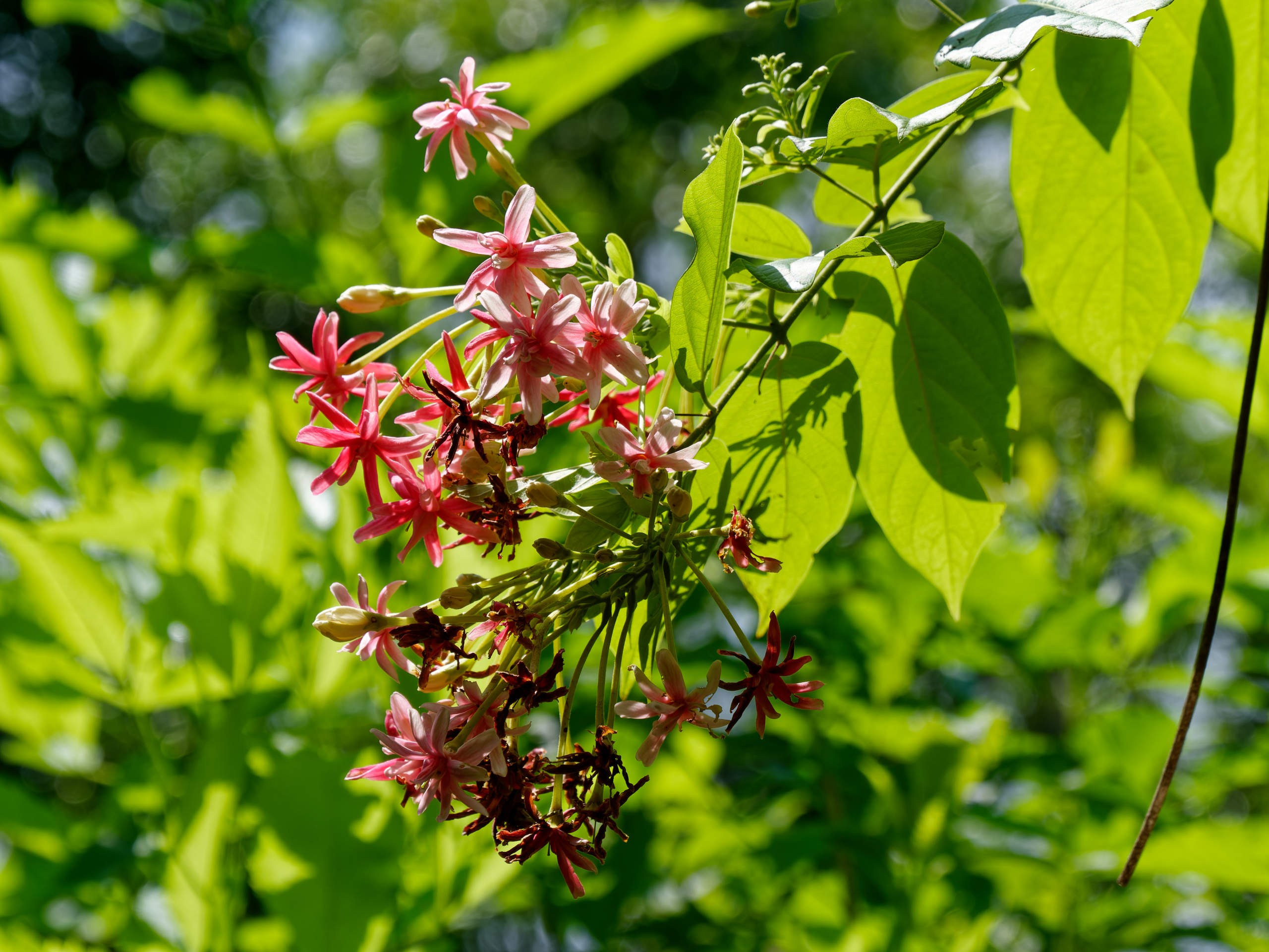 Нячанг 2023. Избранные фотографии