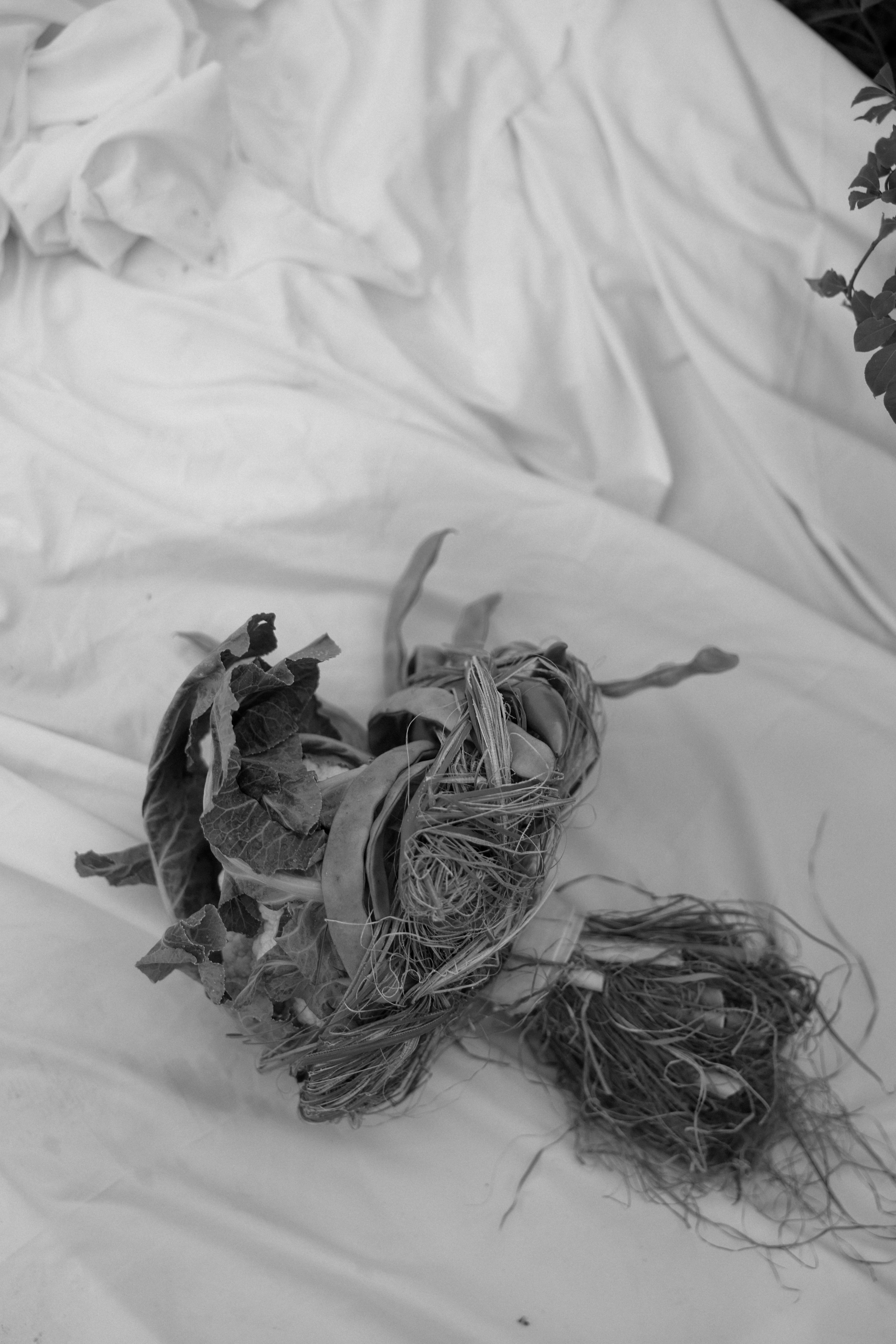 Лиза & Дима. Оформление свадеб, декор свадеб Вера Маркова, Москва