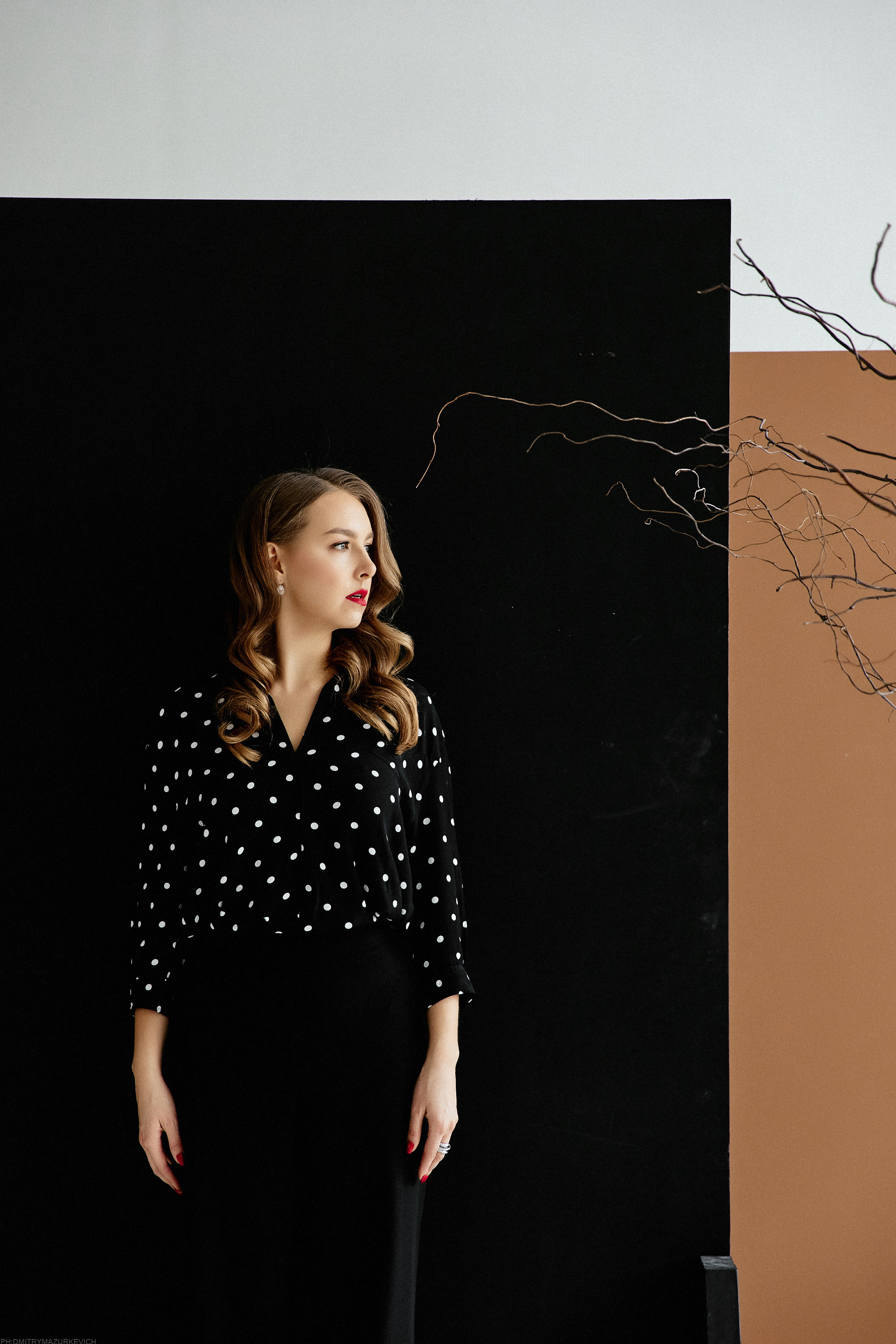 9 подруг. Дмитрий Мазуркевич: Профессиональный Репортажный Фотограф