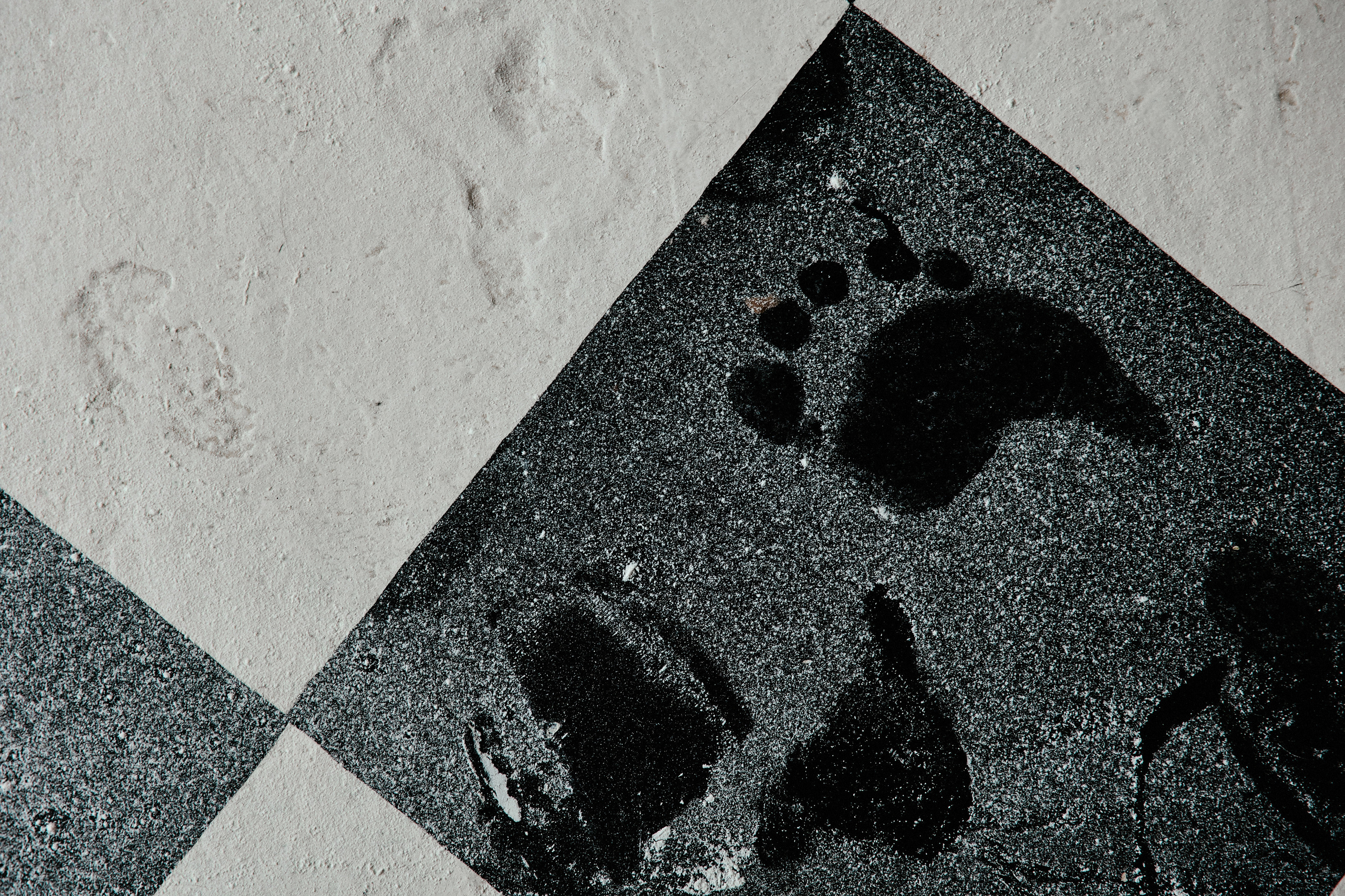 9 подруг. Дмитрий Мазуркевич: Профессиональный Репортажный Фотограф