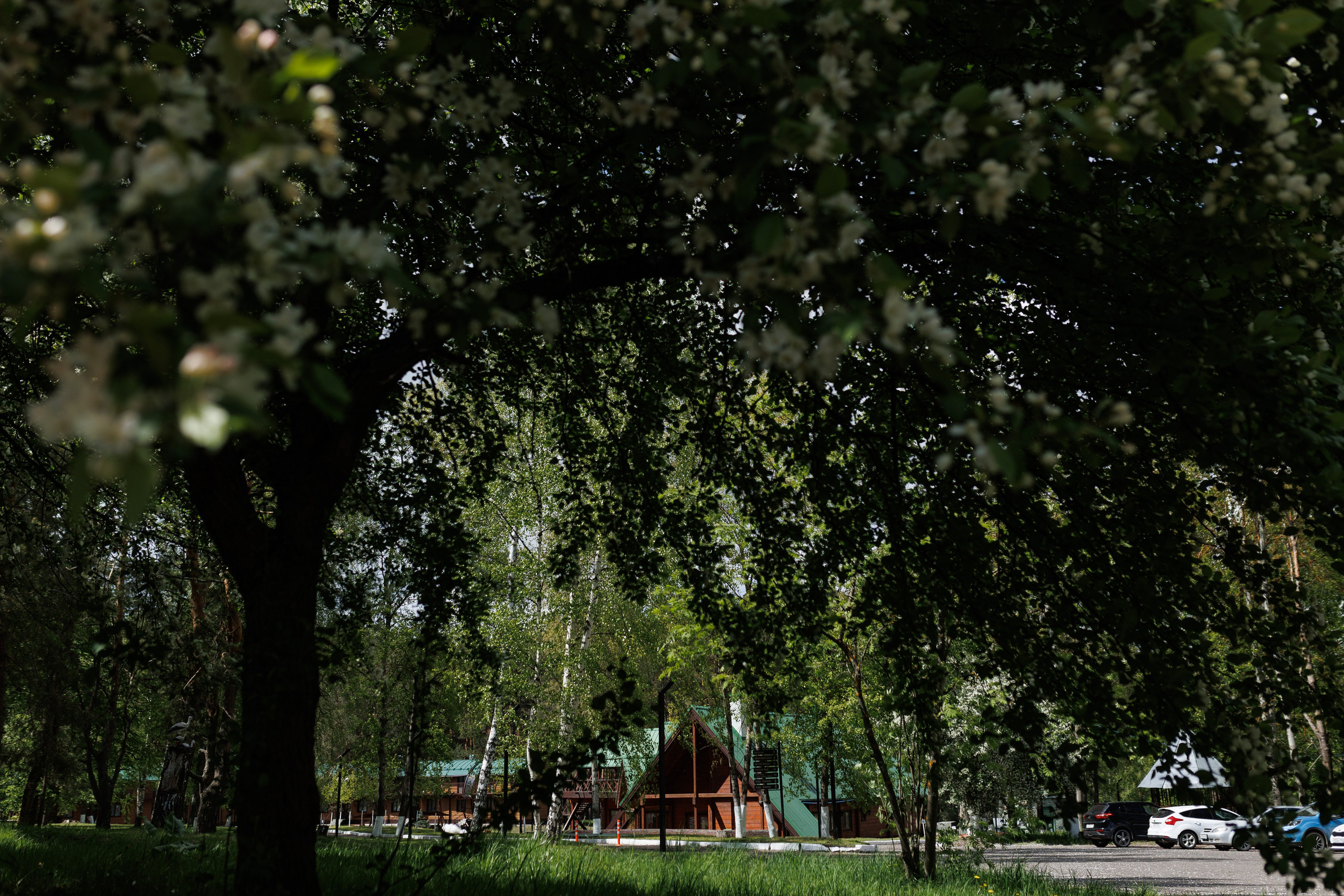 База отдыха «Металлург». Фотограф городских и семейных событий в Нижнем Новгороде Артем Карпухин