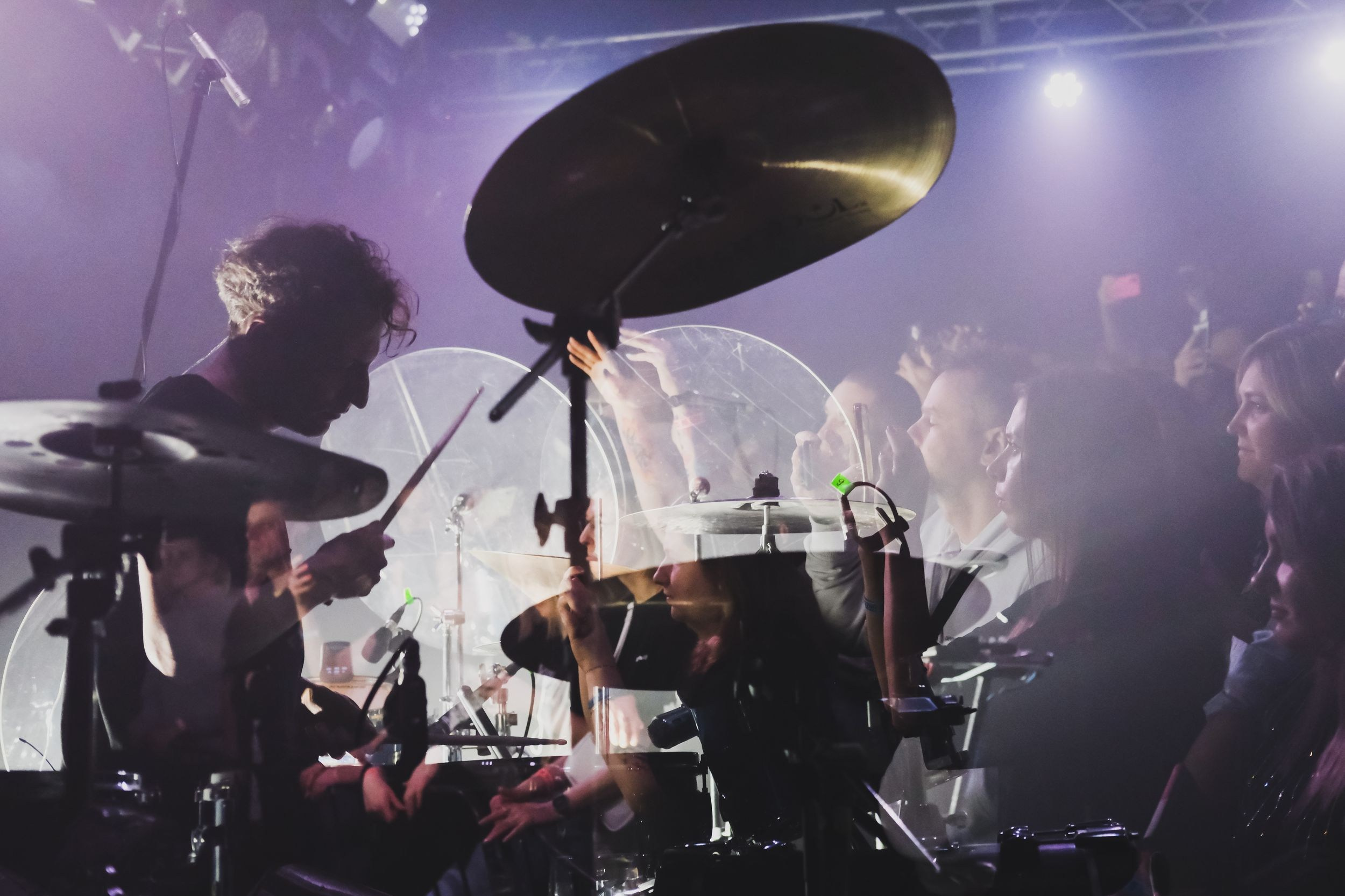 Дельфин. Репортажный фотограф Алексей Пирязев