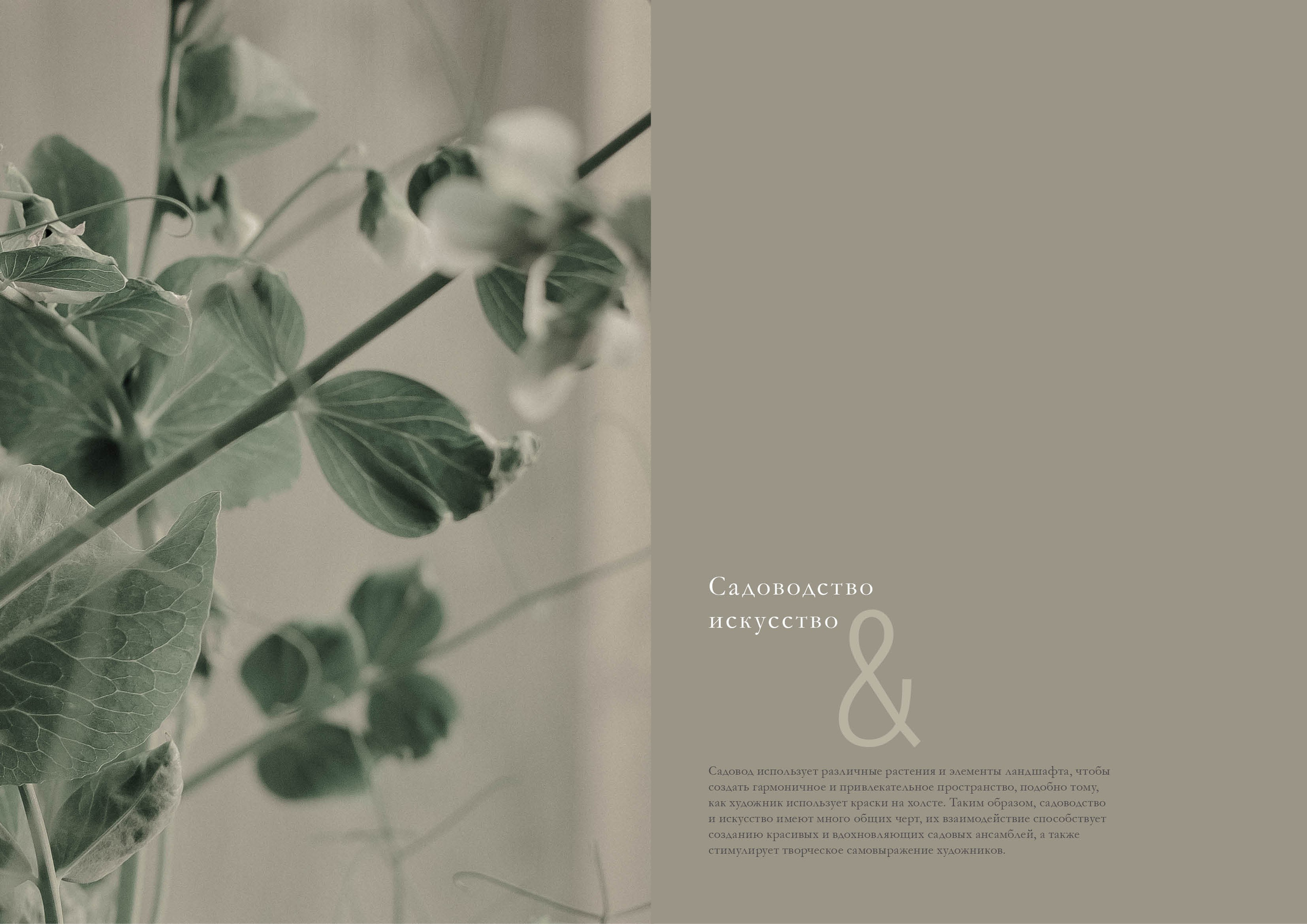 Курс «Психология на грядке». АRТ&PSY | Искусство психологии