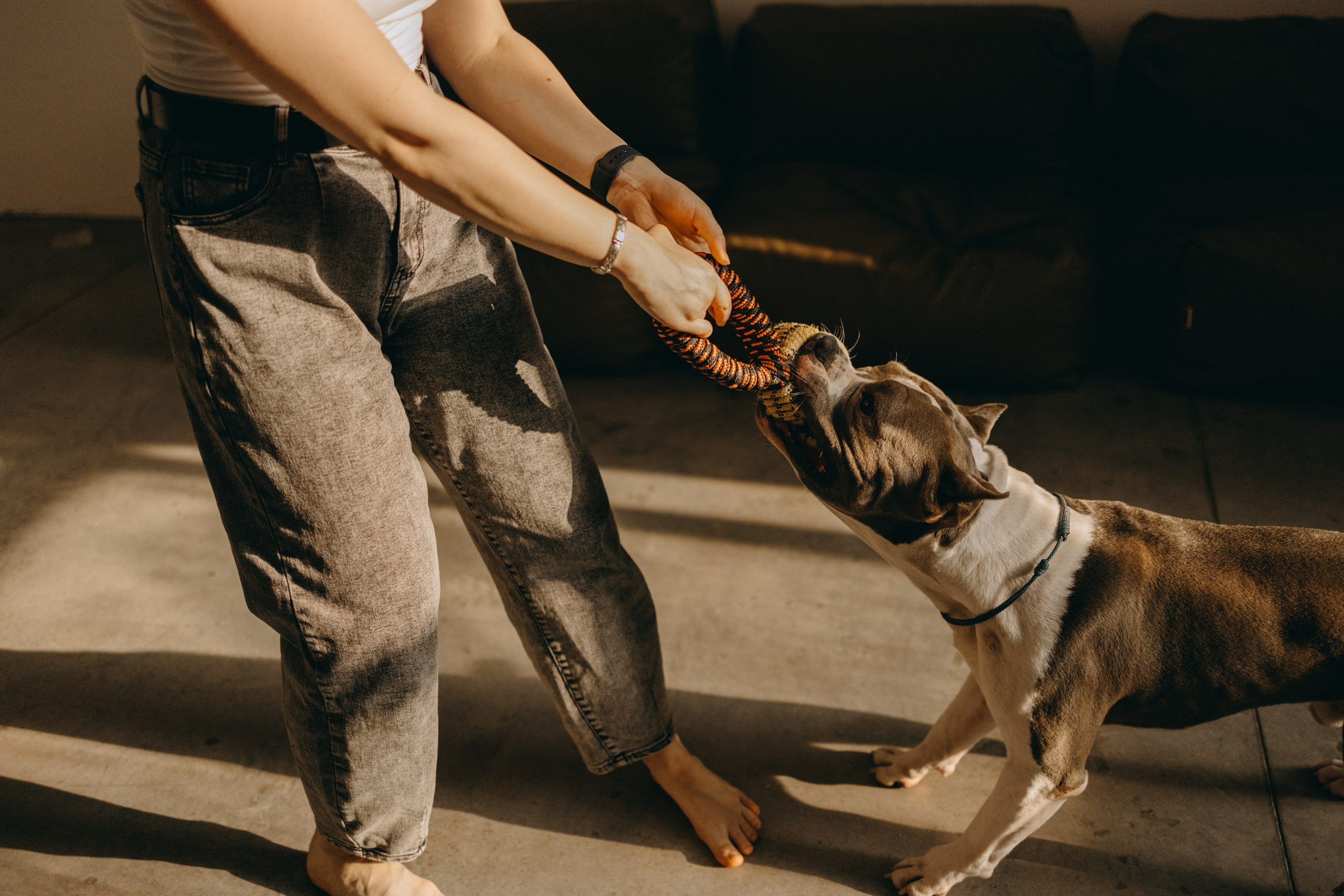 Саша и Кракен. Фотограф — Анималист | Санкт-Петербург