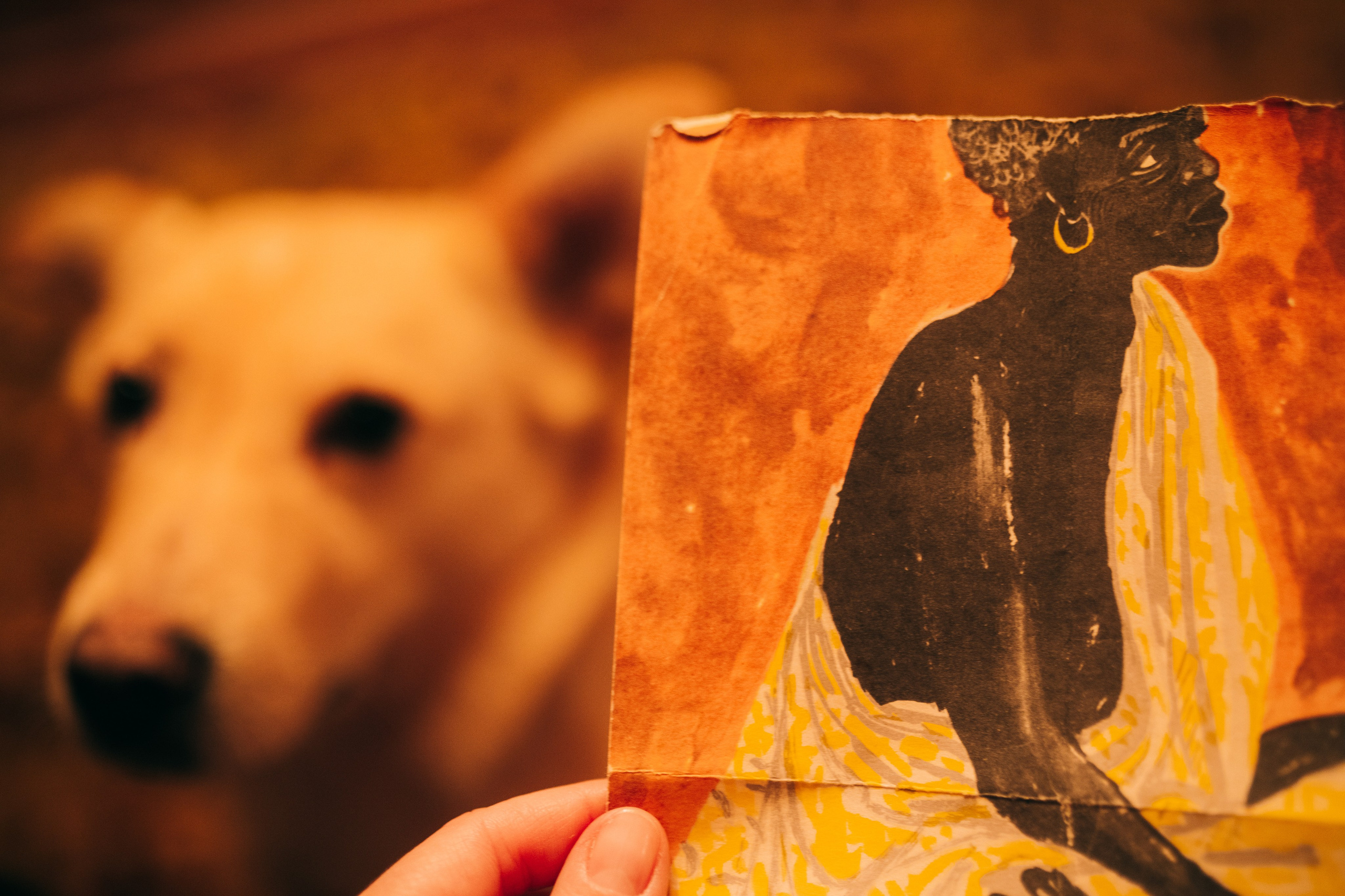 Вета. Женский семейный фотограф Тула Москва Захарова Анна