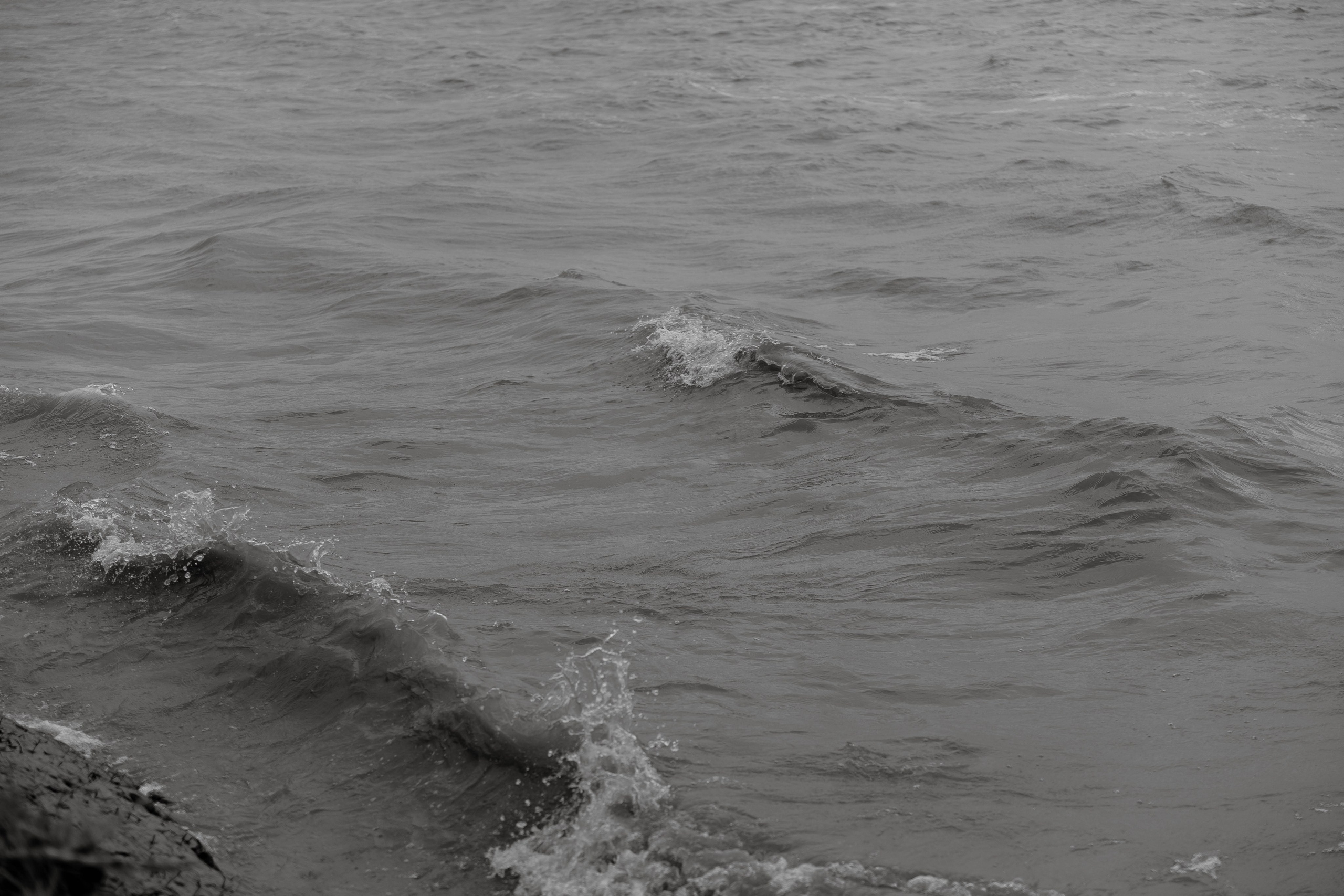 TIMUR | JULIA. Главная