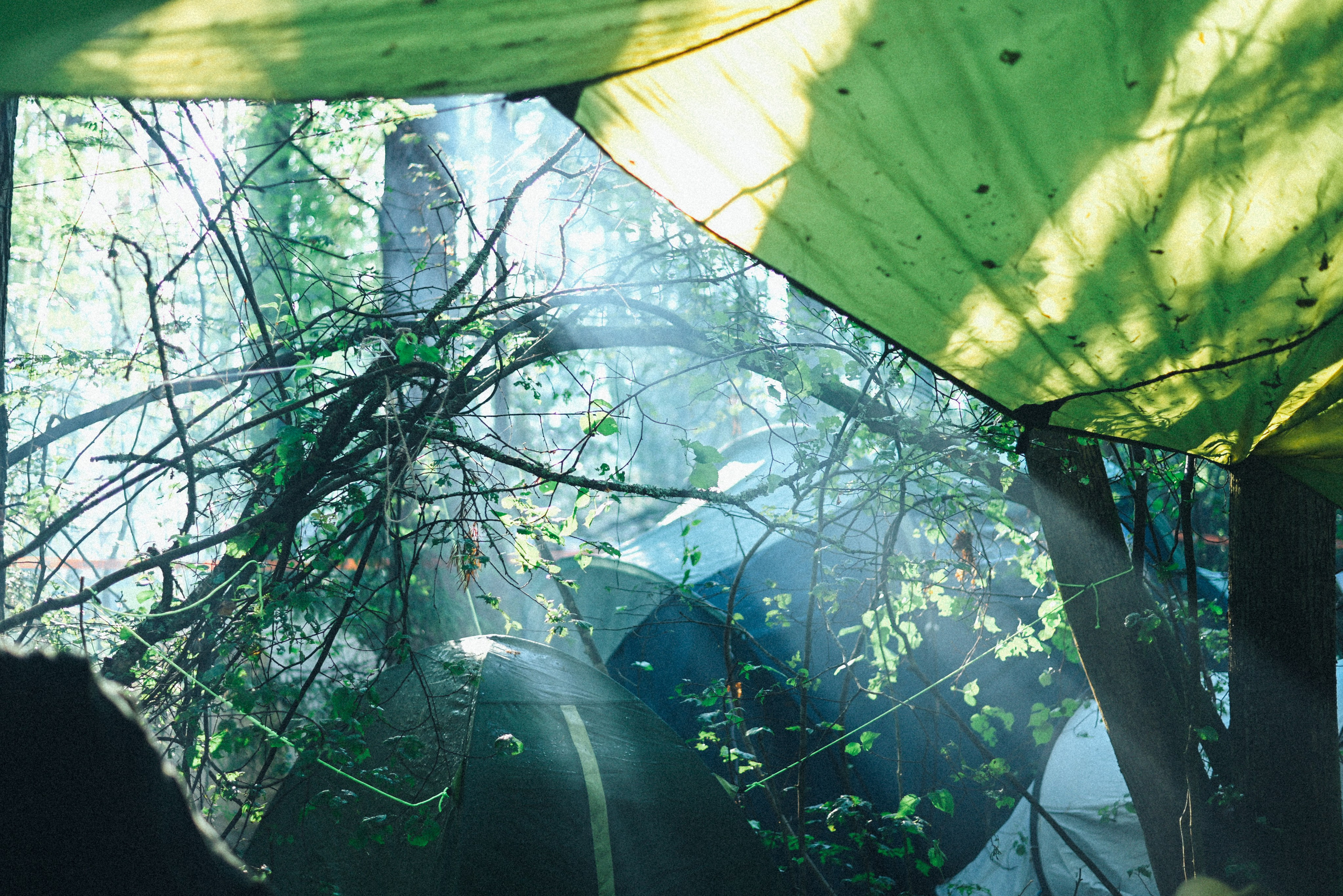 Бессонница 2025. Элька Мурзина