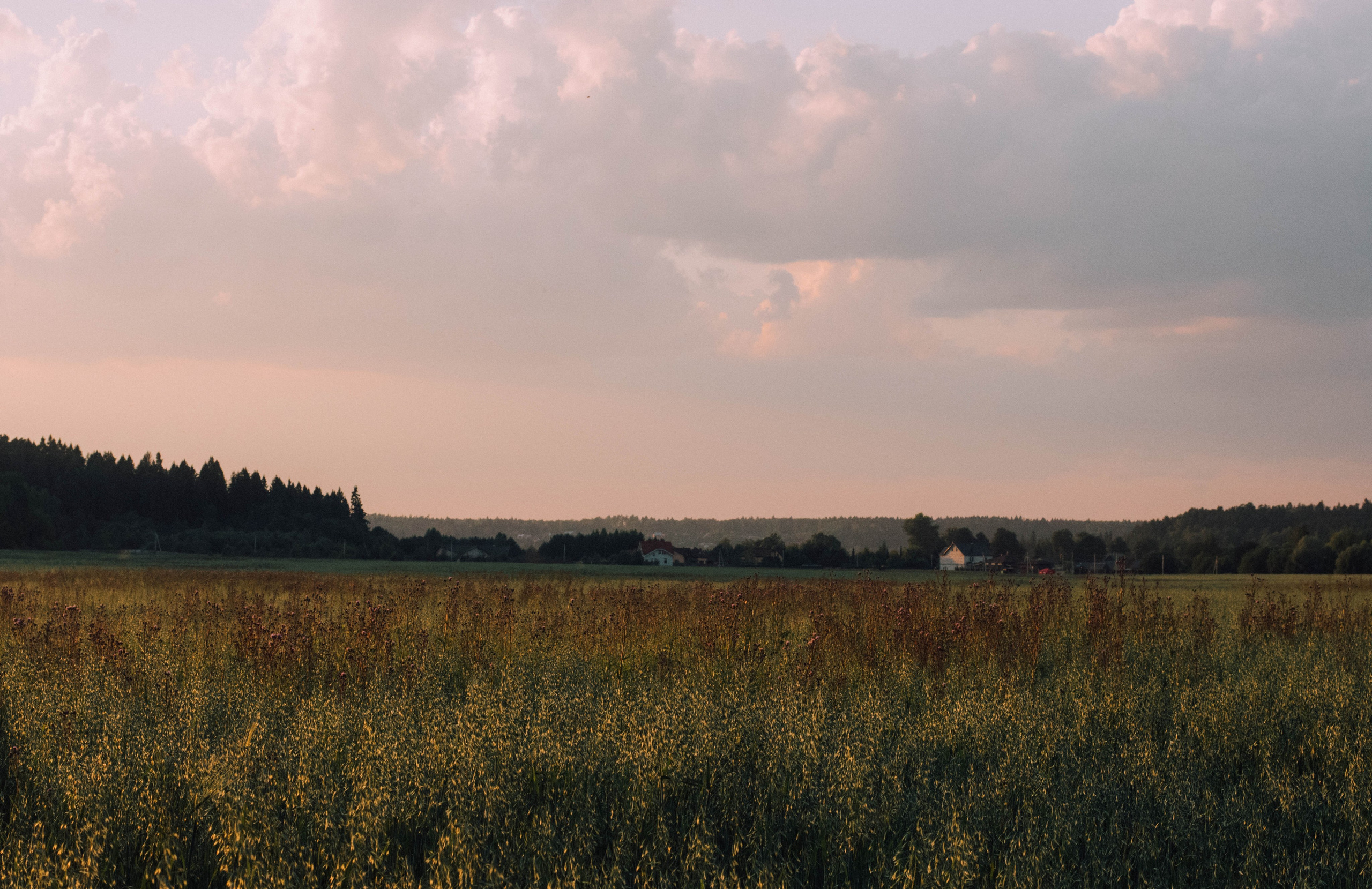 Портфолио. Элька Мурзина