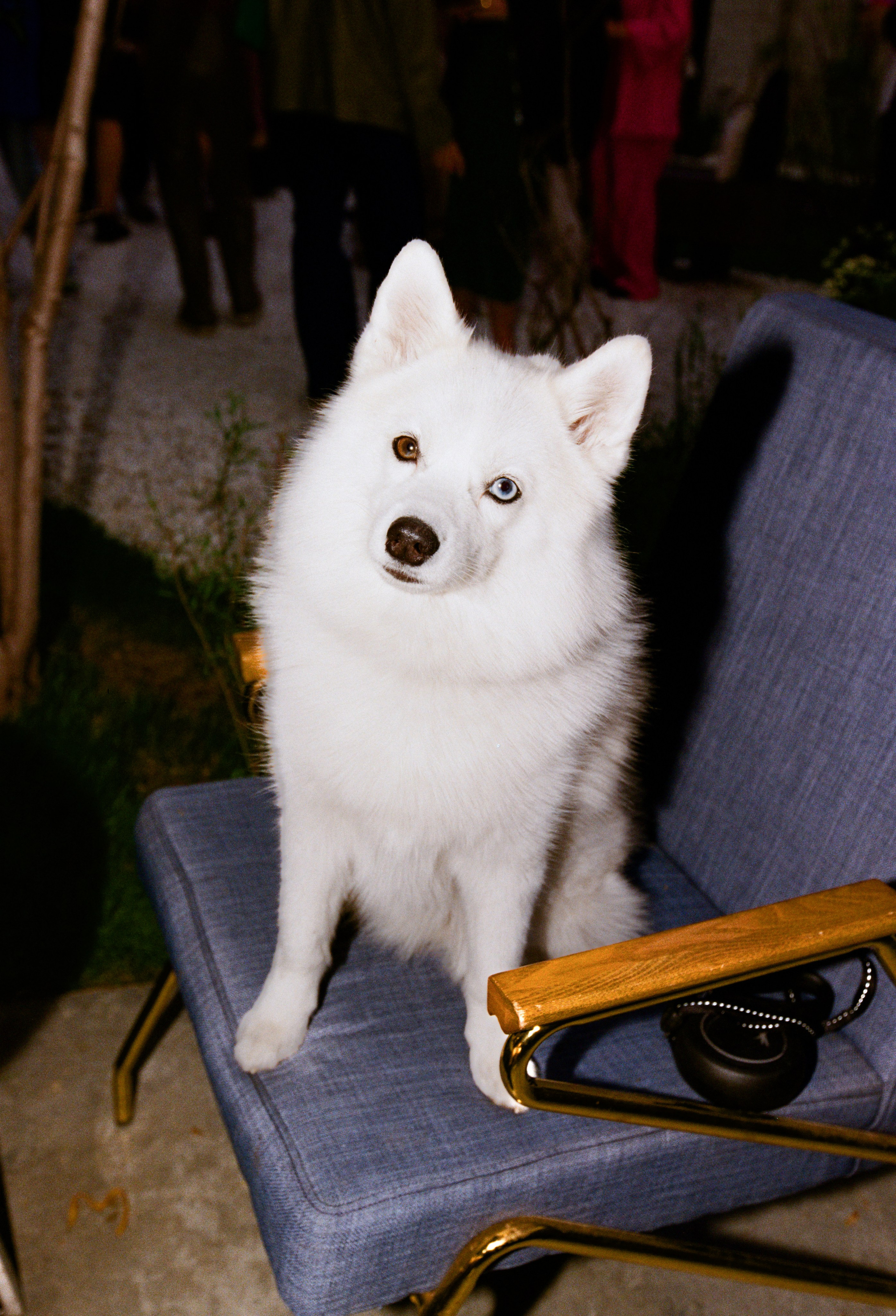 Party like a Moscow. Портретный и ивент-фотограф в Москве