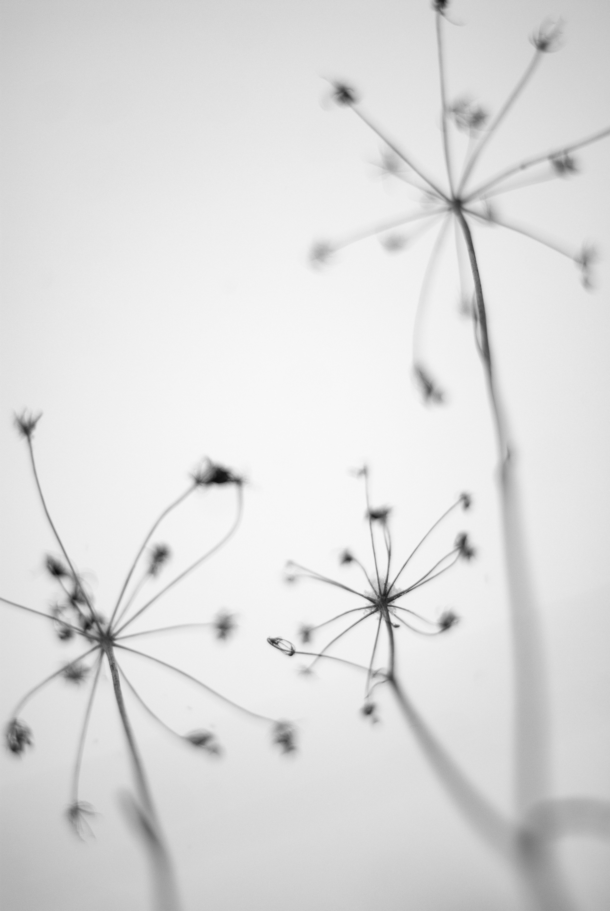 Внутривенные сны (2018-2023)