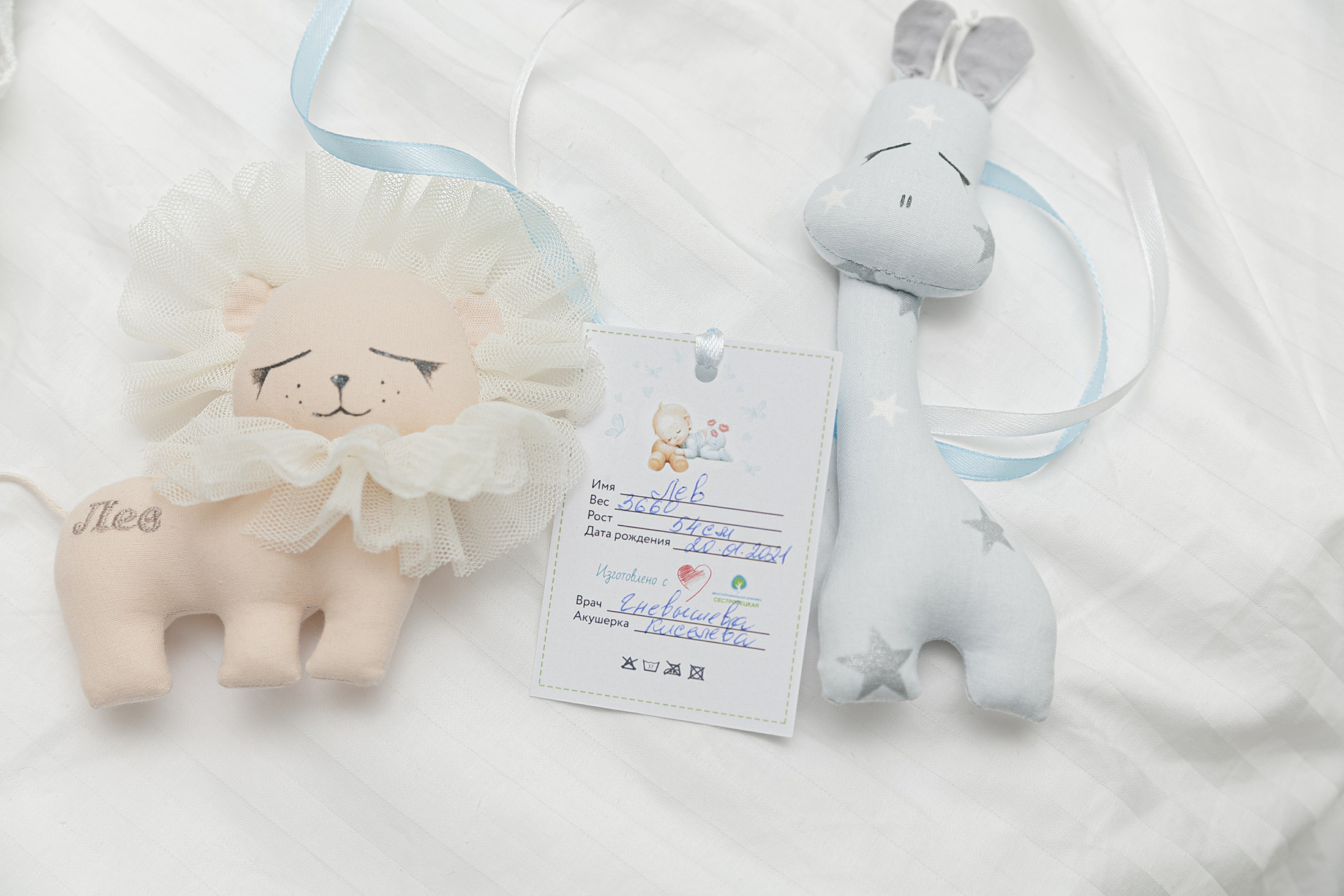 25 января 2021. Фотограф в роддоме Сестрорецком г. Санкт-Петербург Банасиковская Ксения