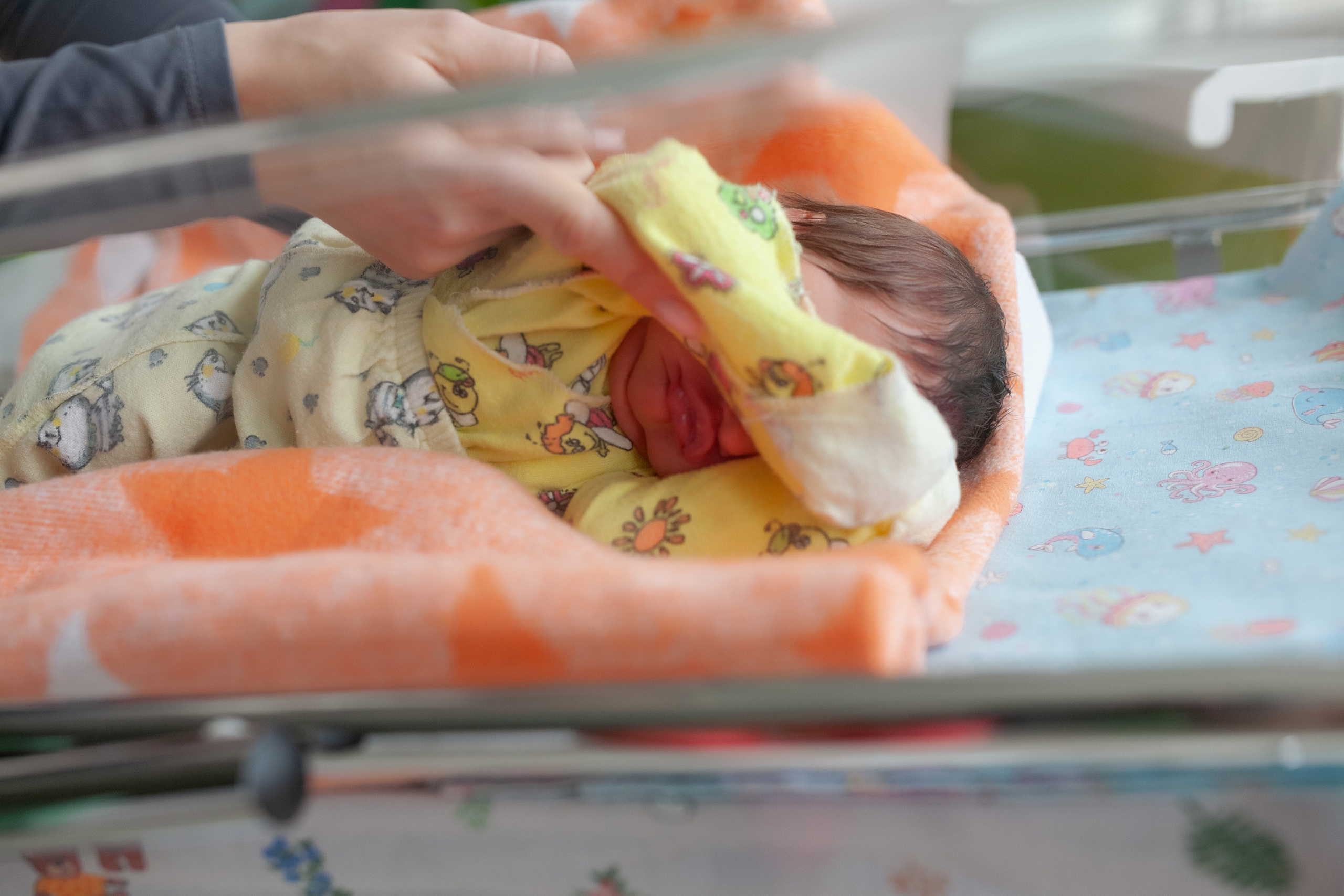 6 марта 2021. Фотограф в роддоме Сестрорецком г. Санкт-Петербург Банасиковская Ксения