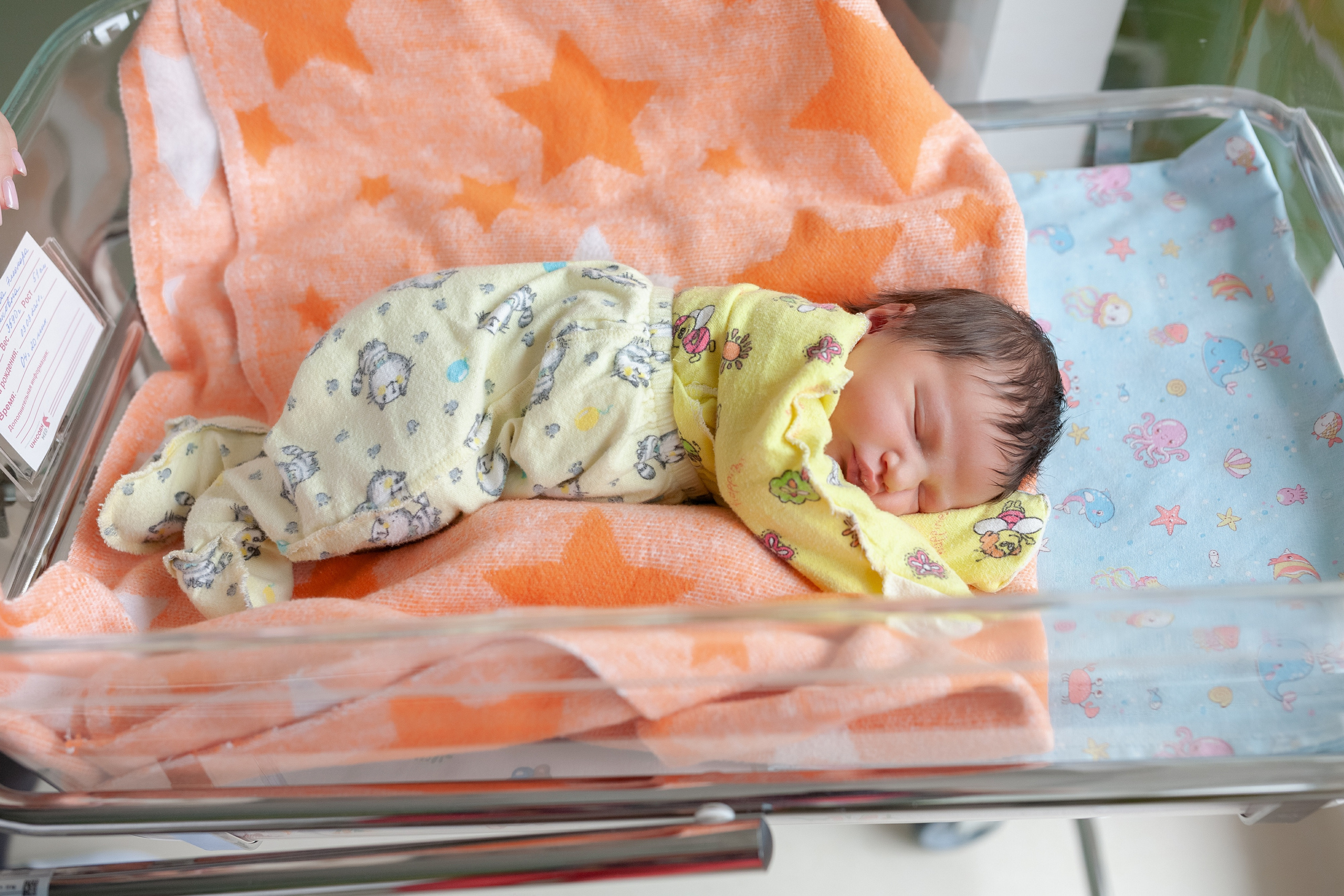6 марта 2021. Фотограф в роддоме Сестрорецком г. Санкт-Петербург Банасиковская Ксения