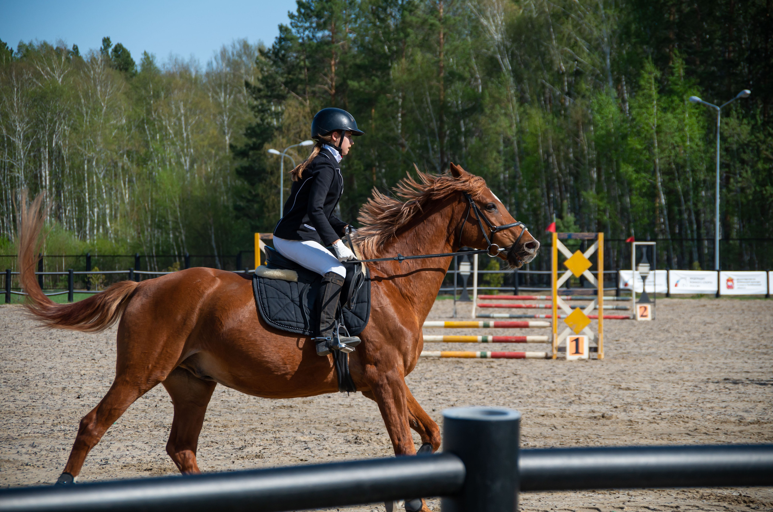 ДЕТИ & ЛОШАДИ. Фотограф Марина Доглядная Челябинск фотосессии с лошадьми, мотоциклами