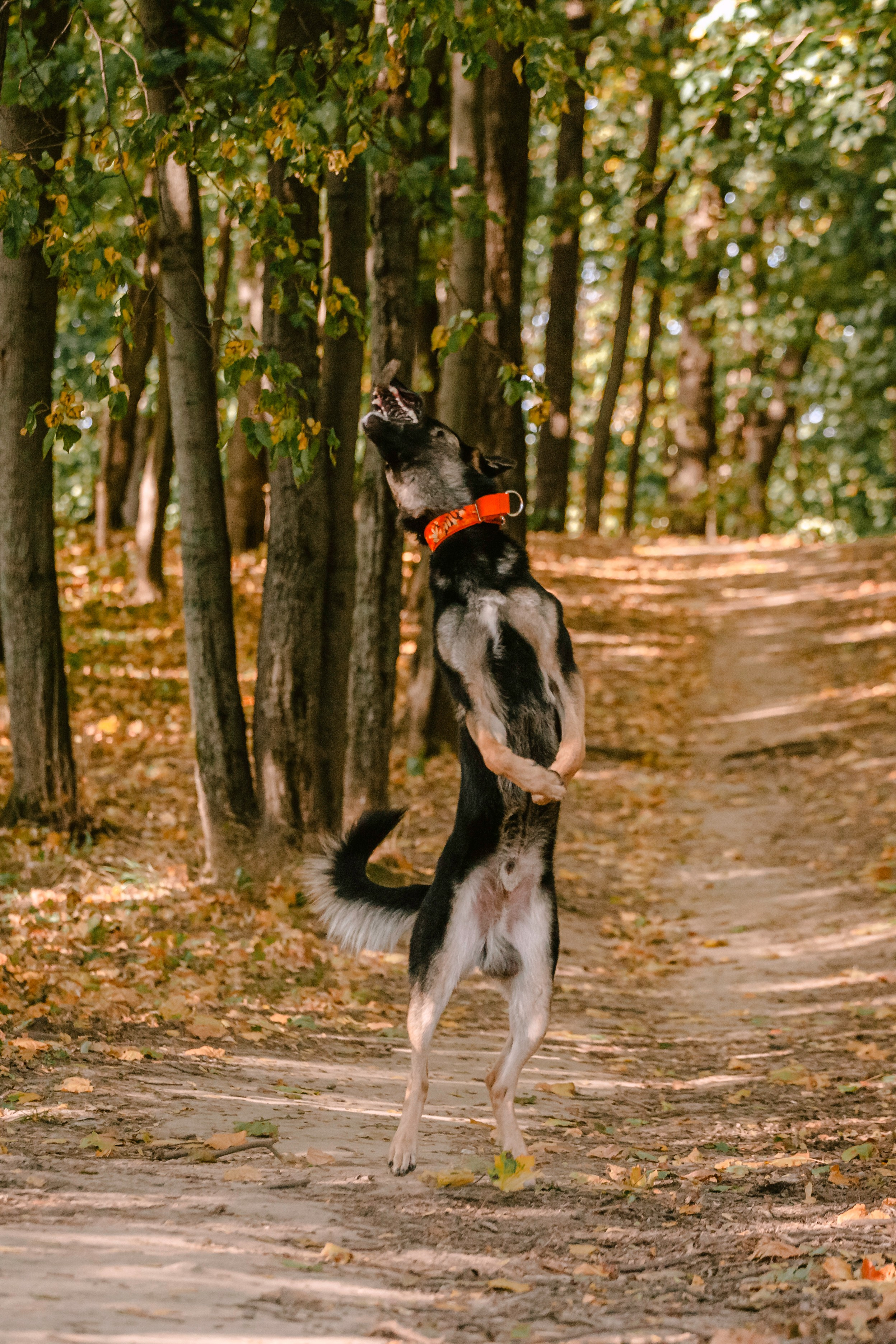 Илай. Фотограф-анималист Татьяна Степанова