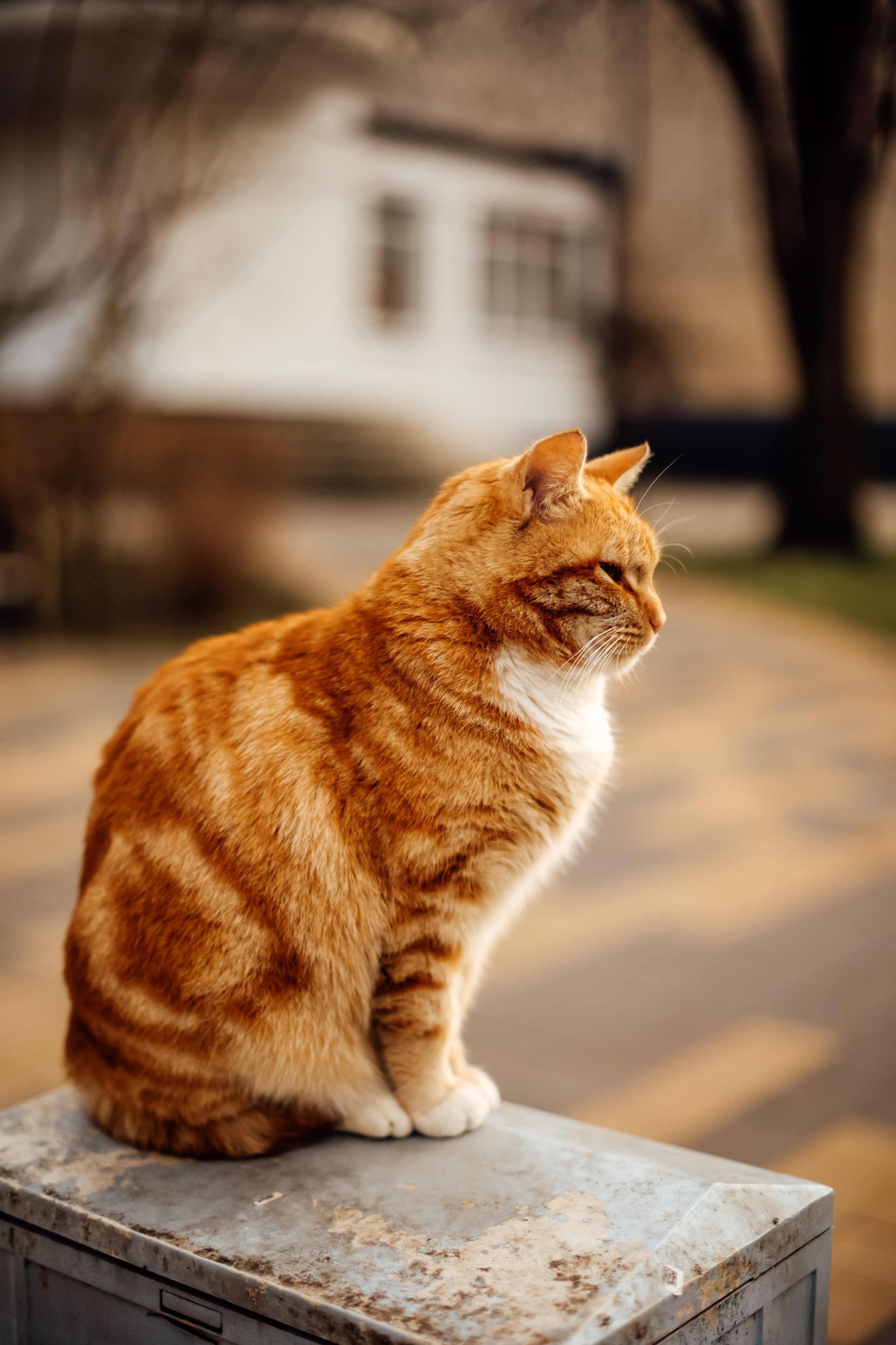 Зеленоградск. Свадебный и семейный фотограф/видеограф в Краснодаре Наталья Осинская