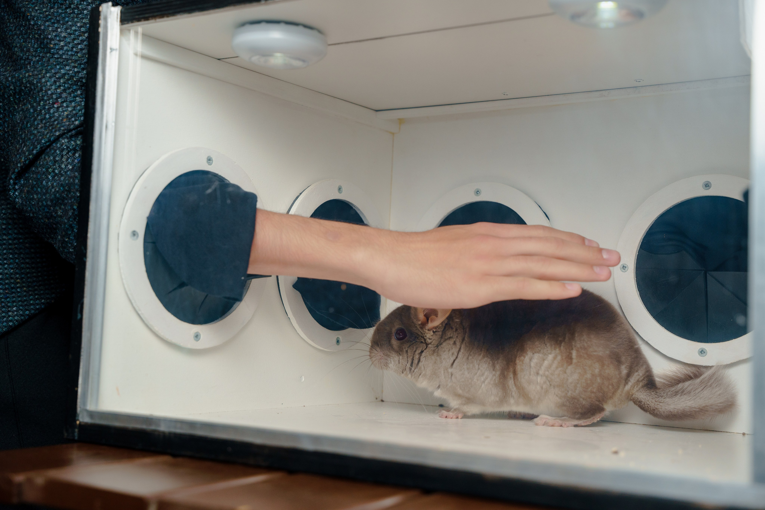 Репортажный фотограф на день рождения в Москве. Репортажный фотограф Москва Сергей Дружинин