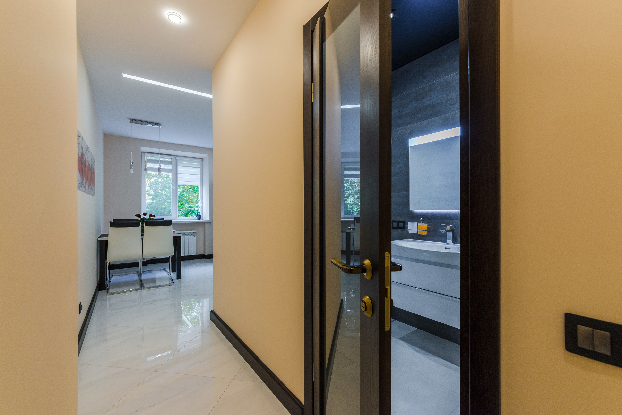 Апартаменты на ул. Ленина. Фотограф Платон Македонский