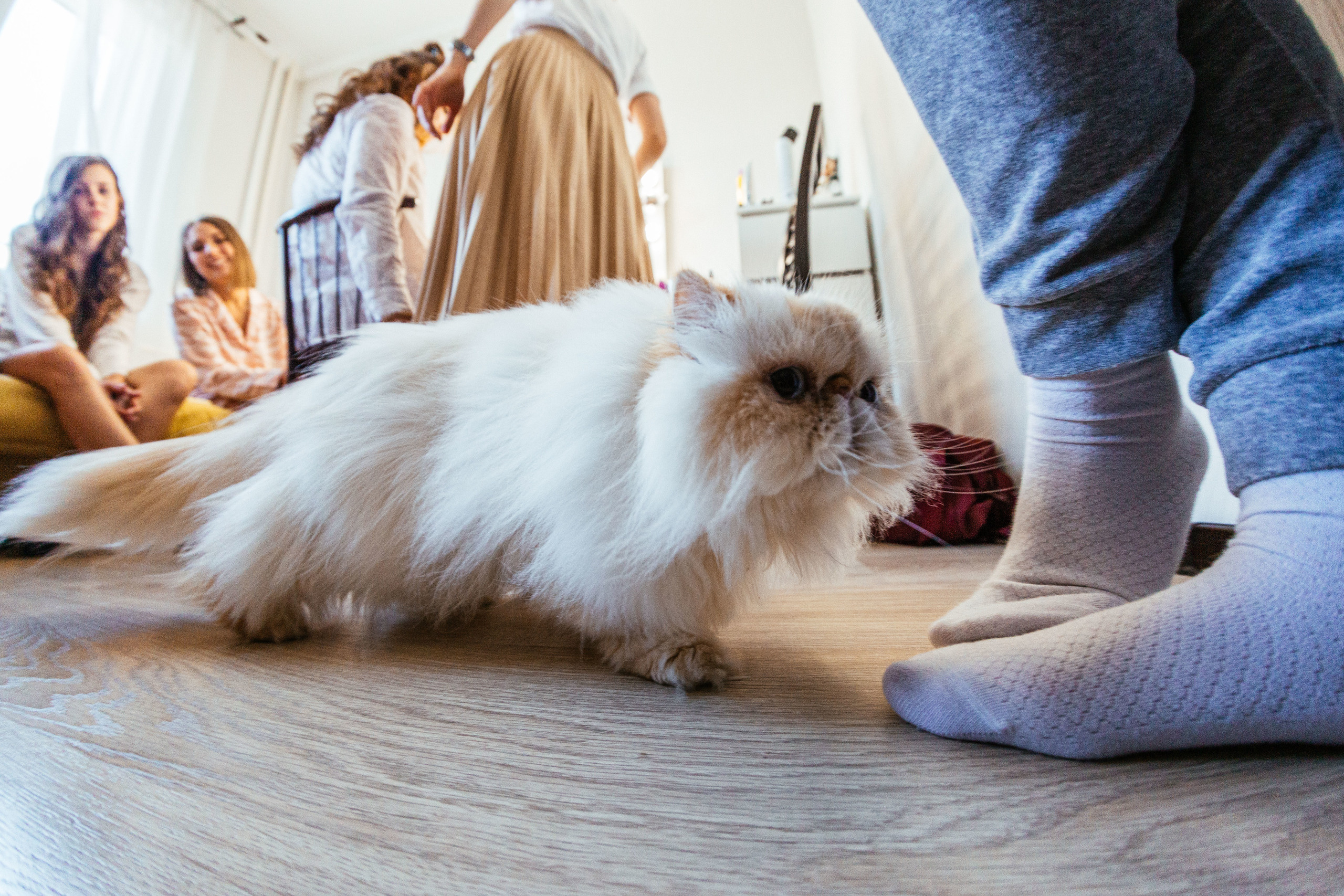 Тимур и Виола. Фотограф в Красноярске