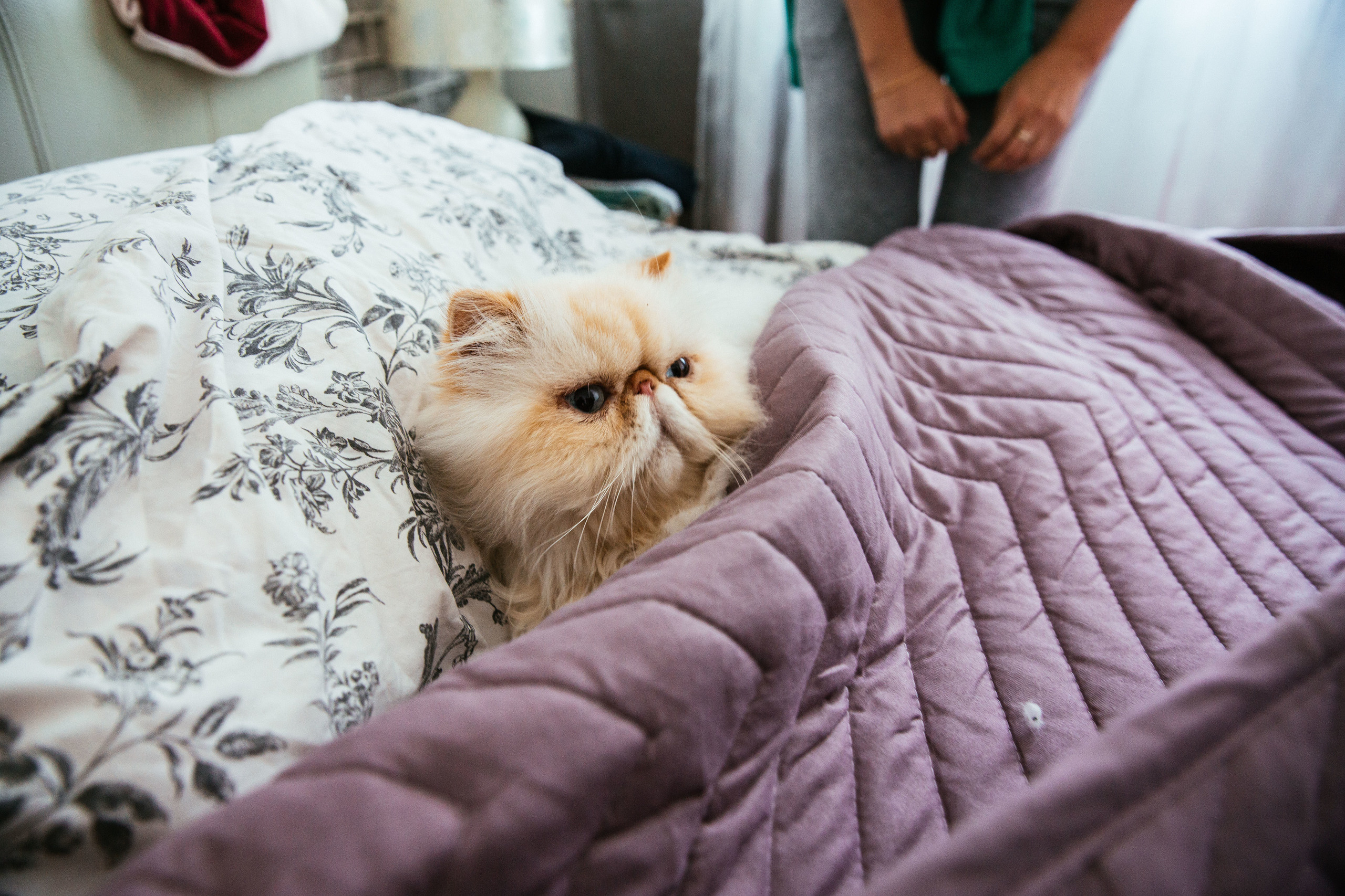 Тимур и Виола. Фотограф в Красноярске