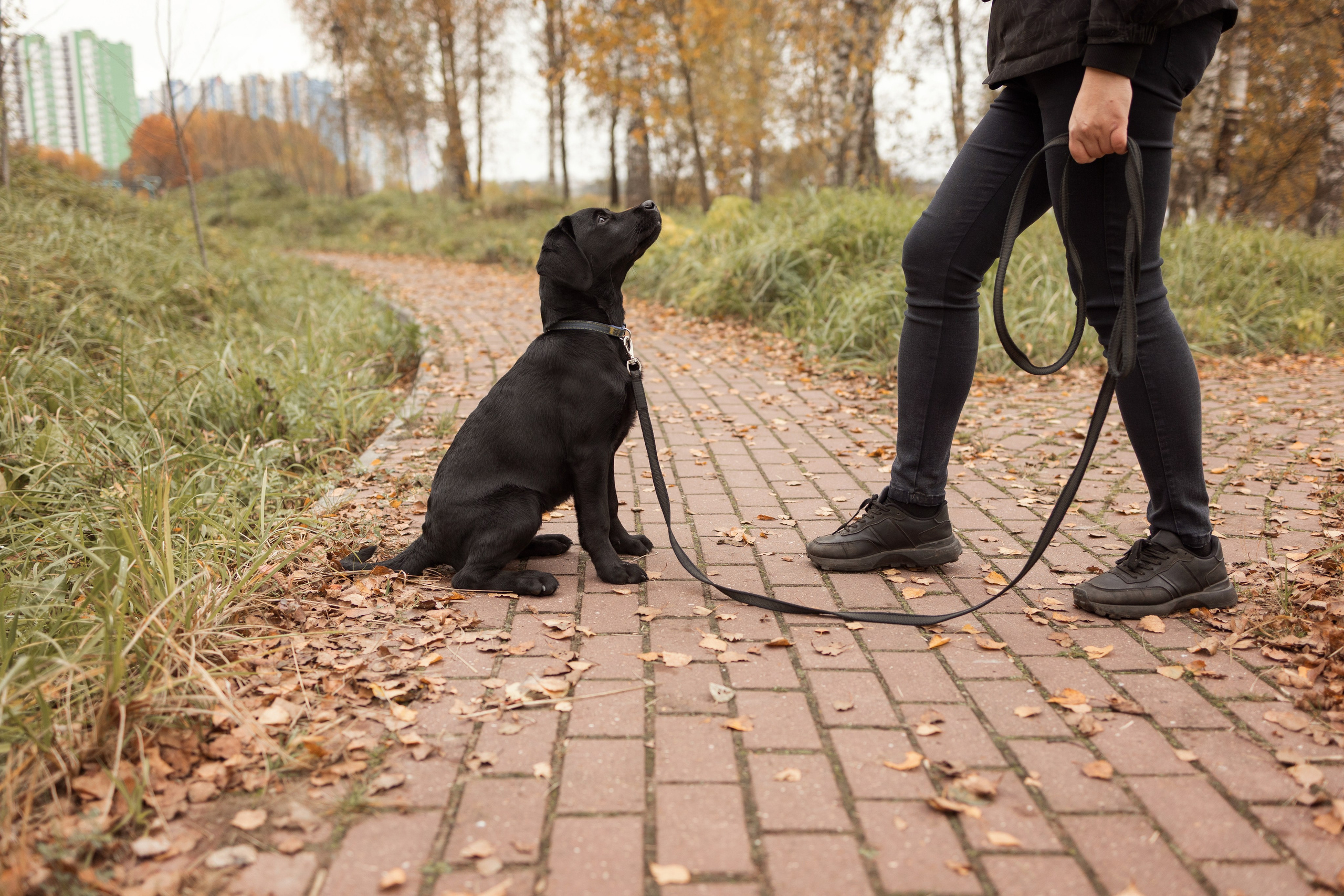 Анастасия и маленькая Юна. Фотограф — Анималист Наталья Тямушева