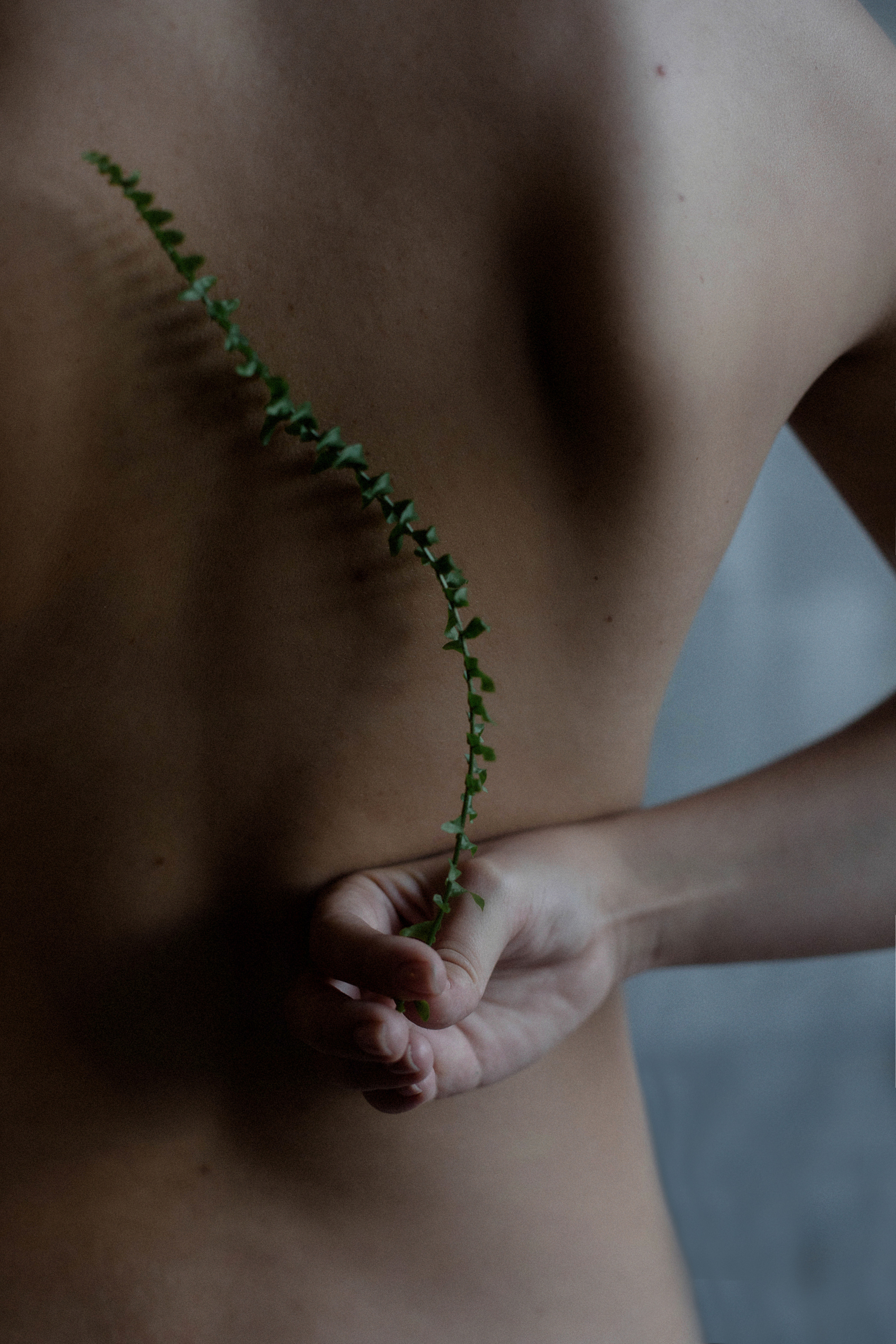 Портретная фотосессия в Москве и России. Школьный и семейный фотограф в Москве Фоломкина Ксения