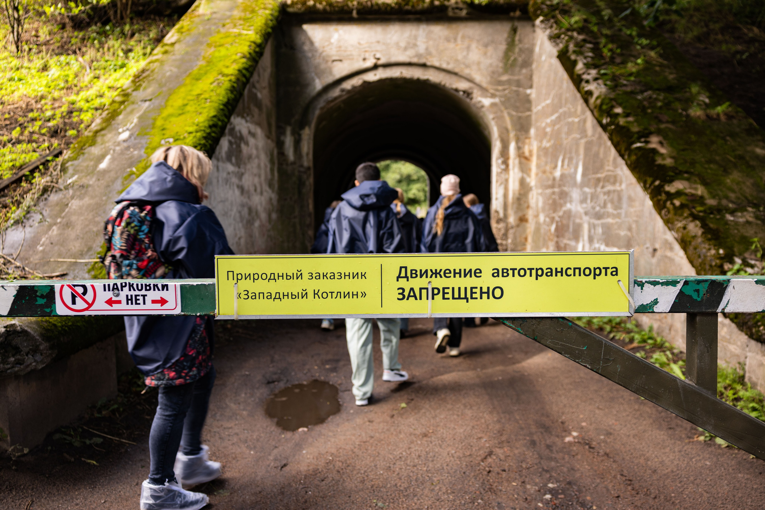 Зеленый пластик. Западный Котлин. Фотограф/видеограф в Санкт-Петербурге Динара Гольдина