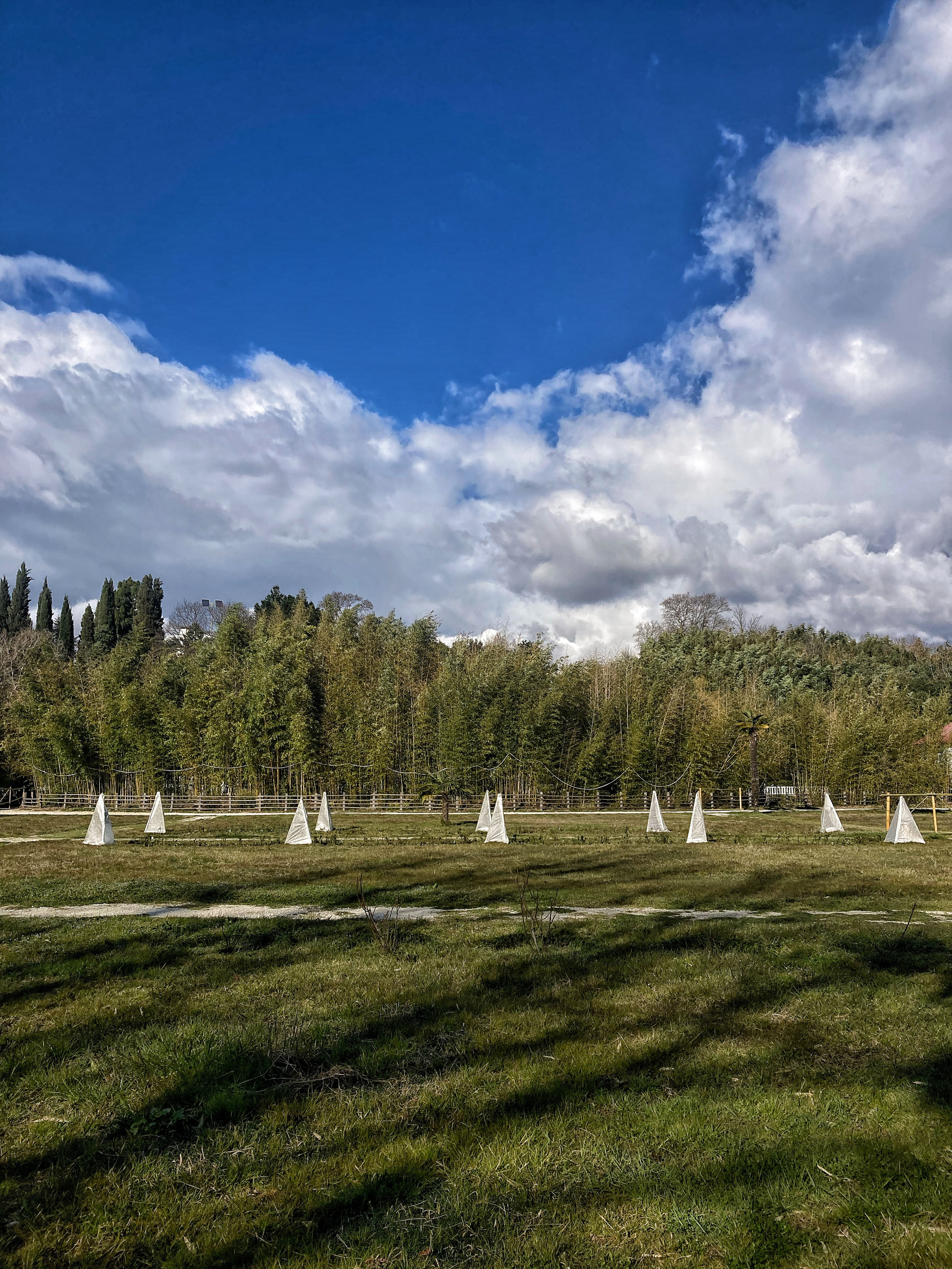 .nature, street & details. .home