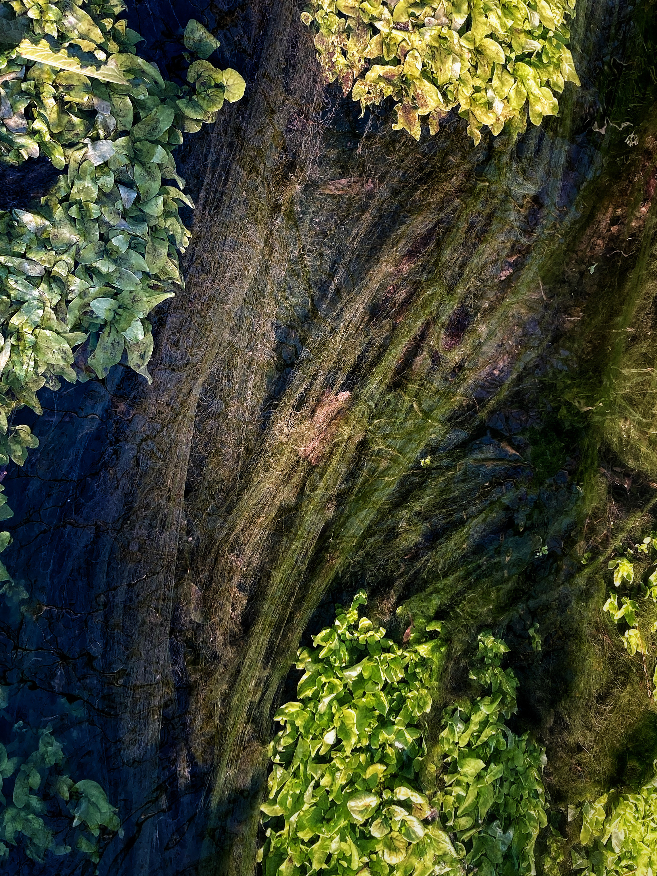 .nature, street & details. .home