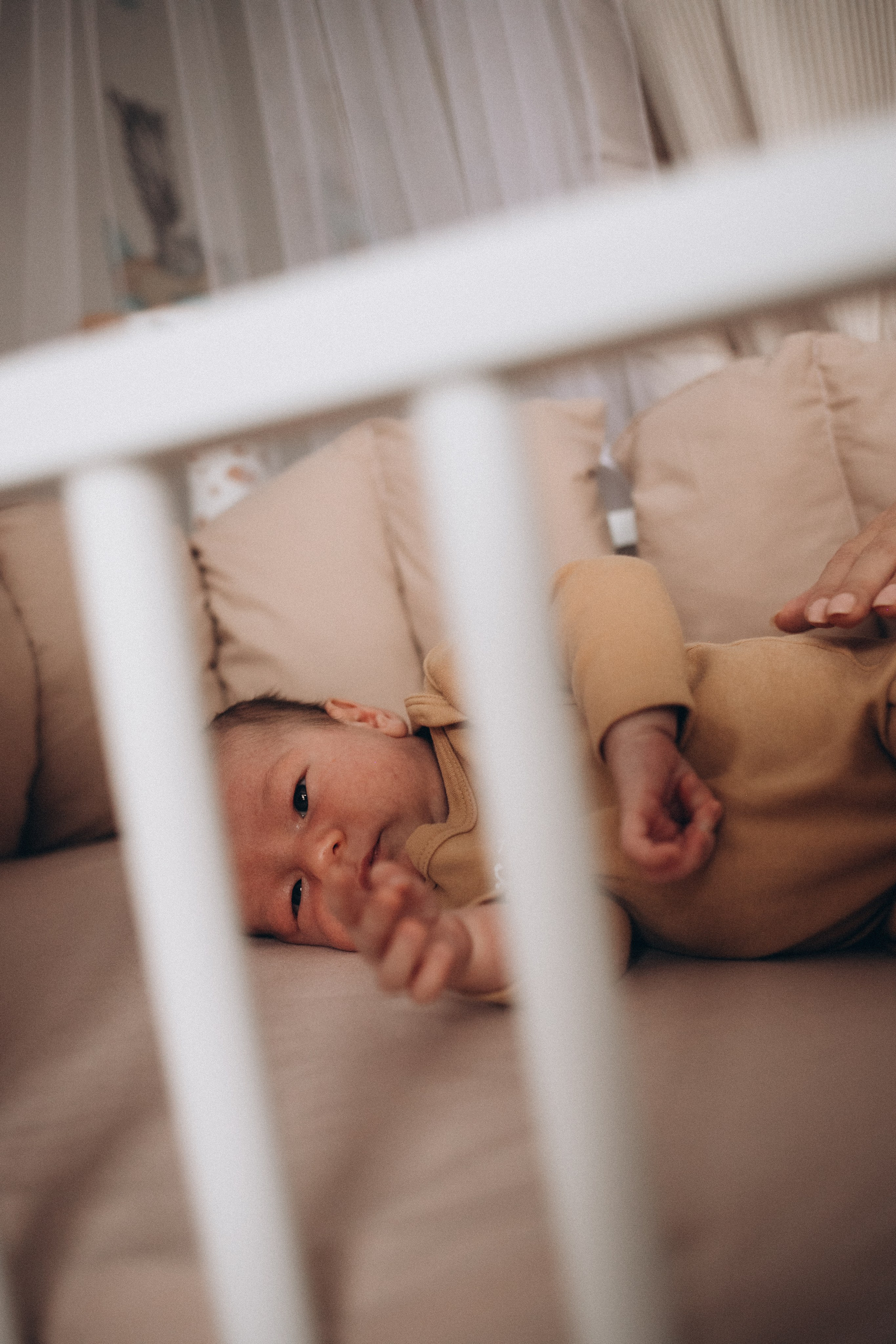 Руслан, Марго и Матвей. Семейный и свадебный фотограф Анна Кожокарь