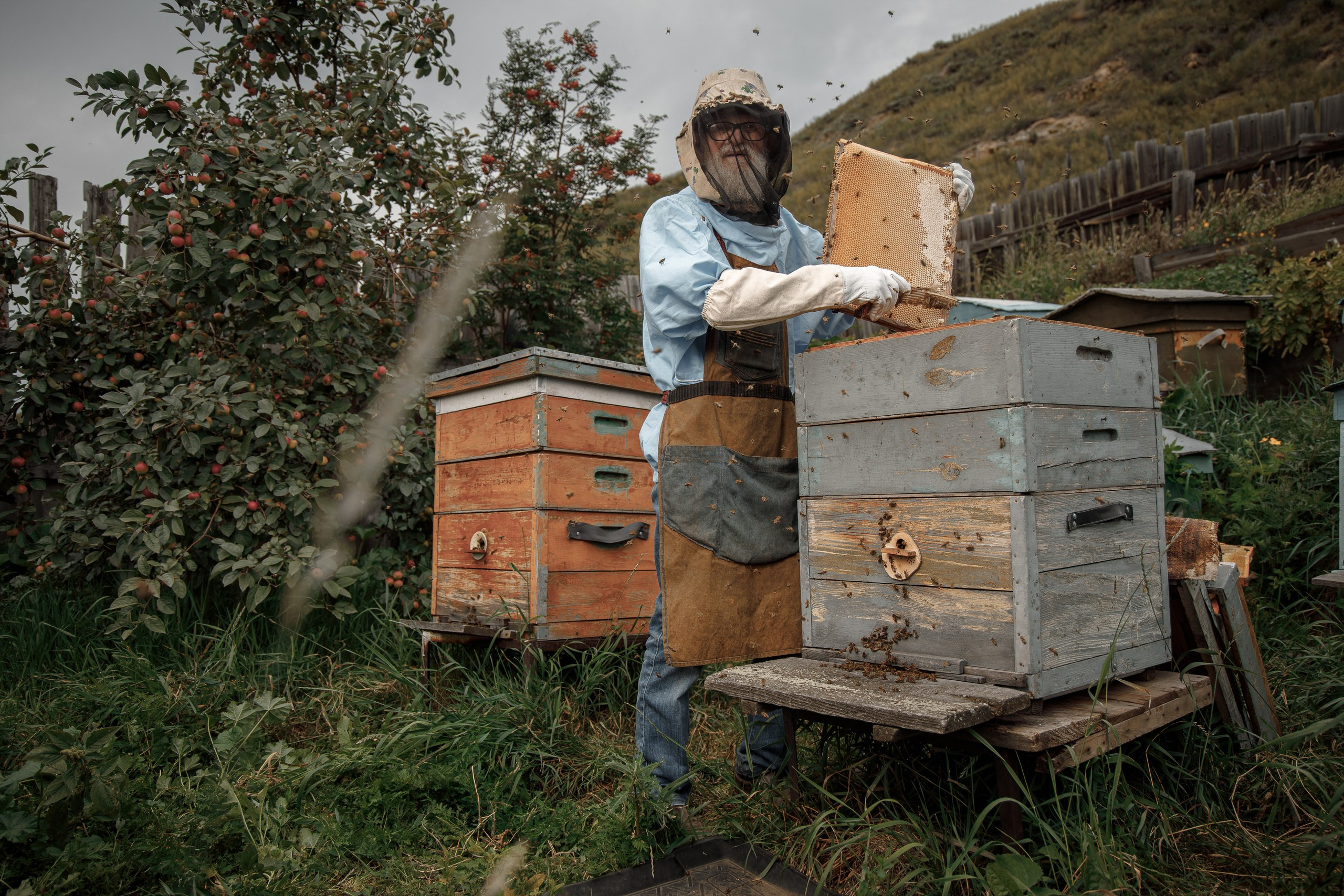 Верность делу. Фотограф в Красноярске Нерозя Александр. Пейзаж, природа, портрет