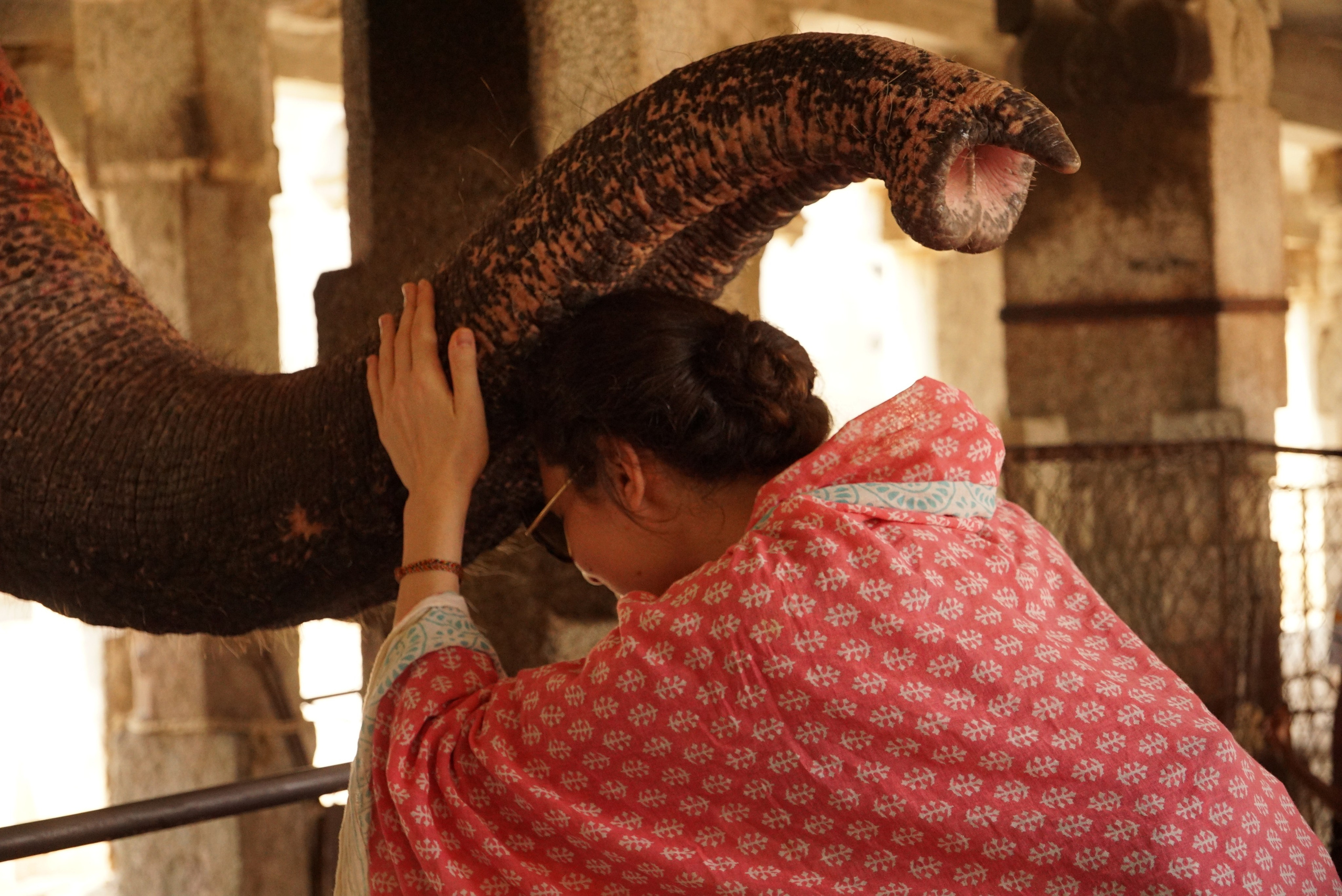 Индия. Живые снимки! Фотограф Даша Бендер