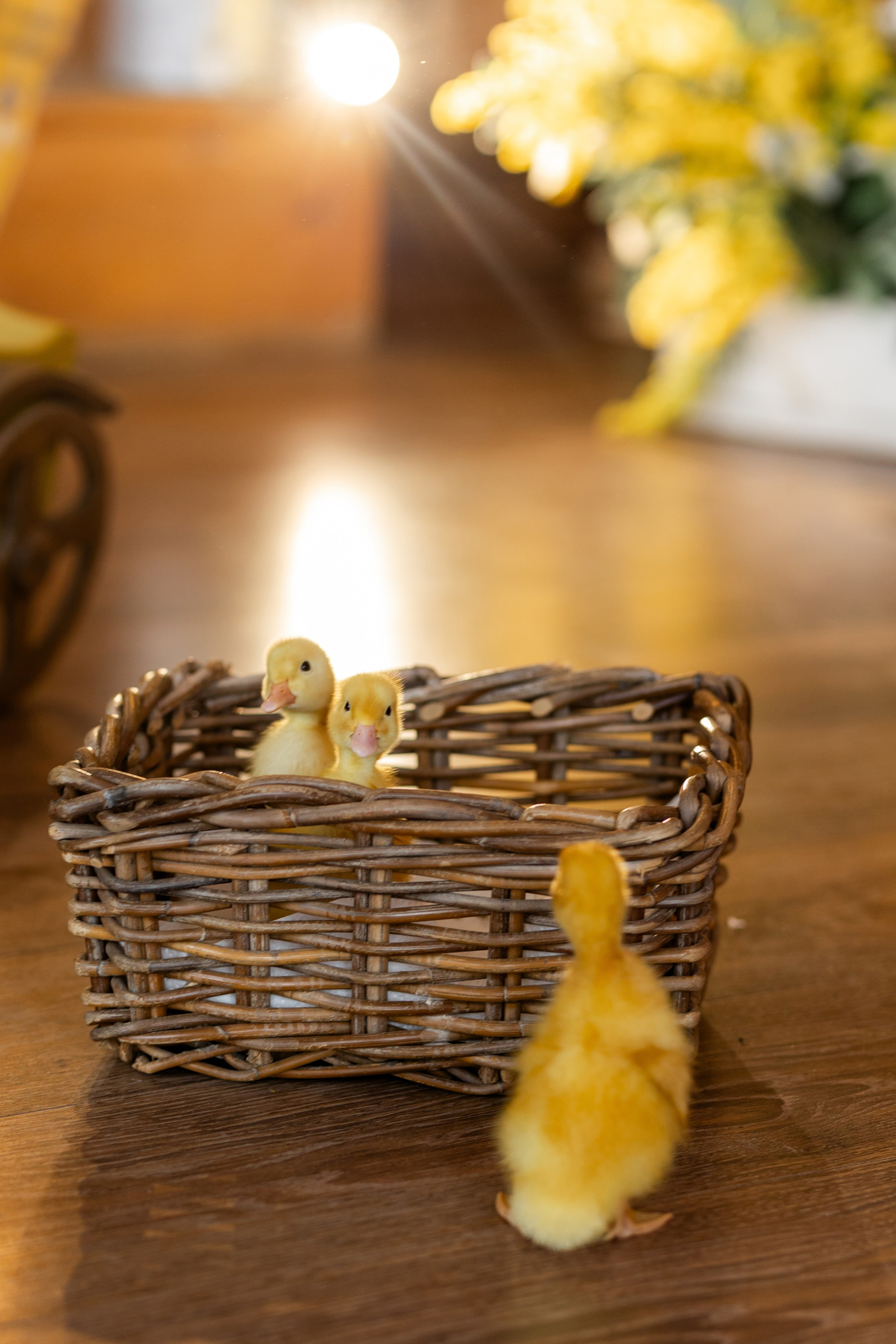 Денис к Пасхе. Семейный и женский фотограф в Ростове-на-Дону Екатерина Фитисова