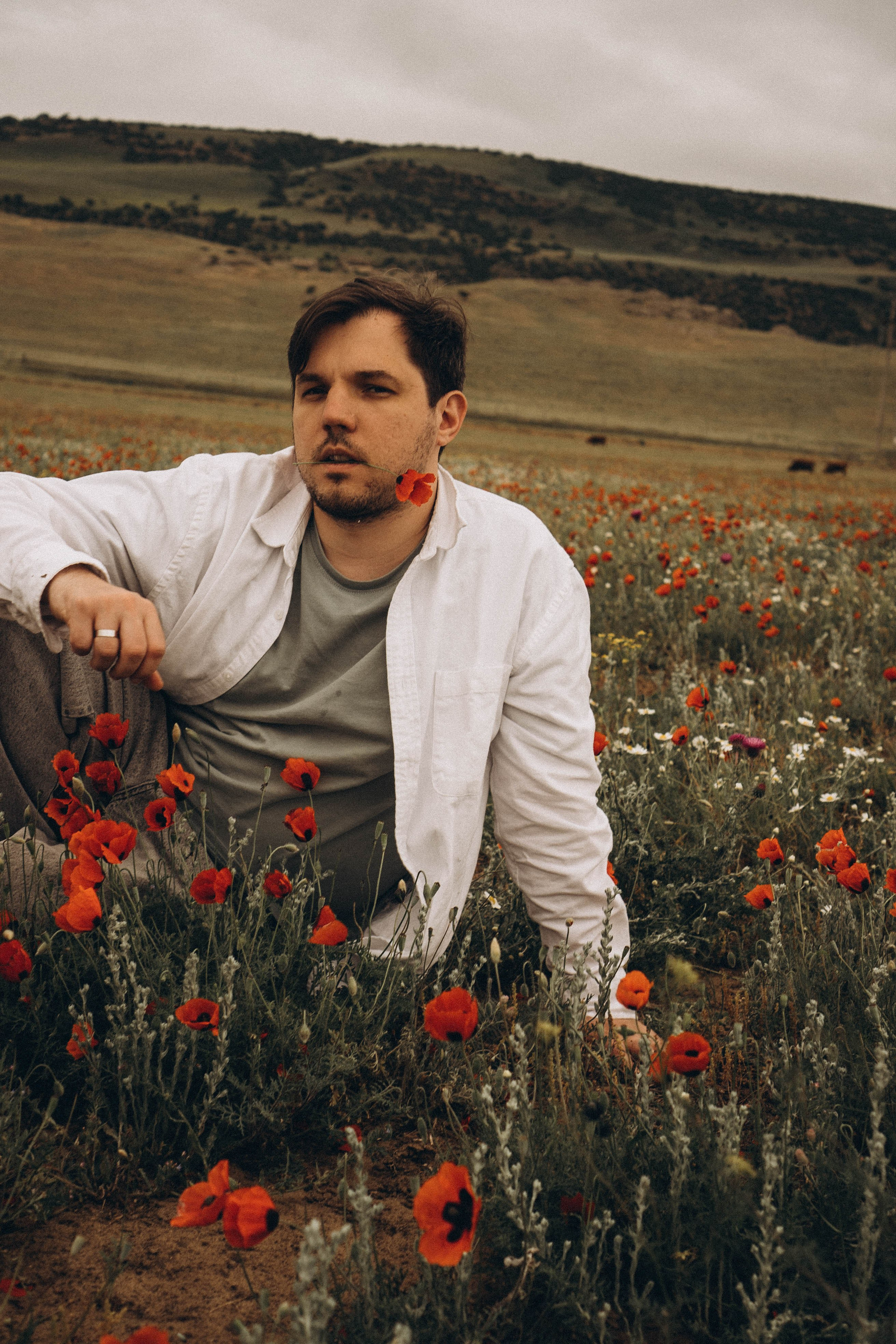 Маки. Профессиональный фотограф, Санкт-Петербург — Виктория Богомолова