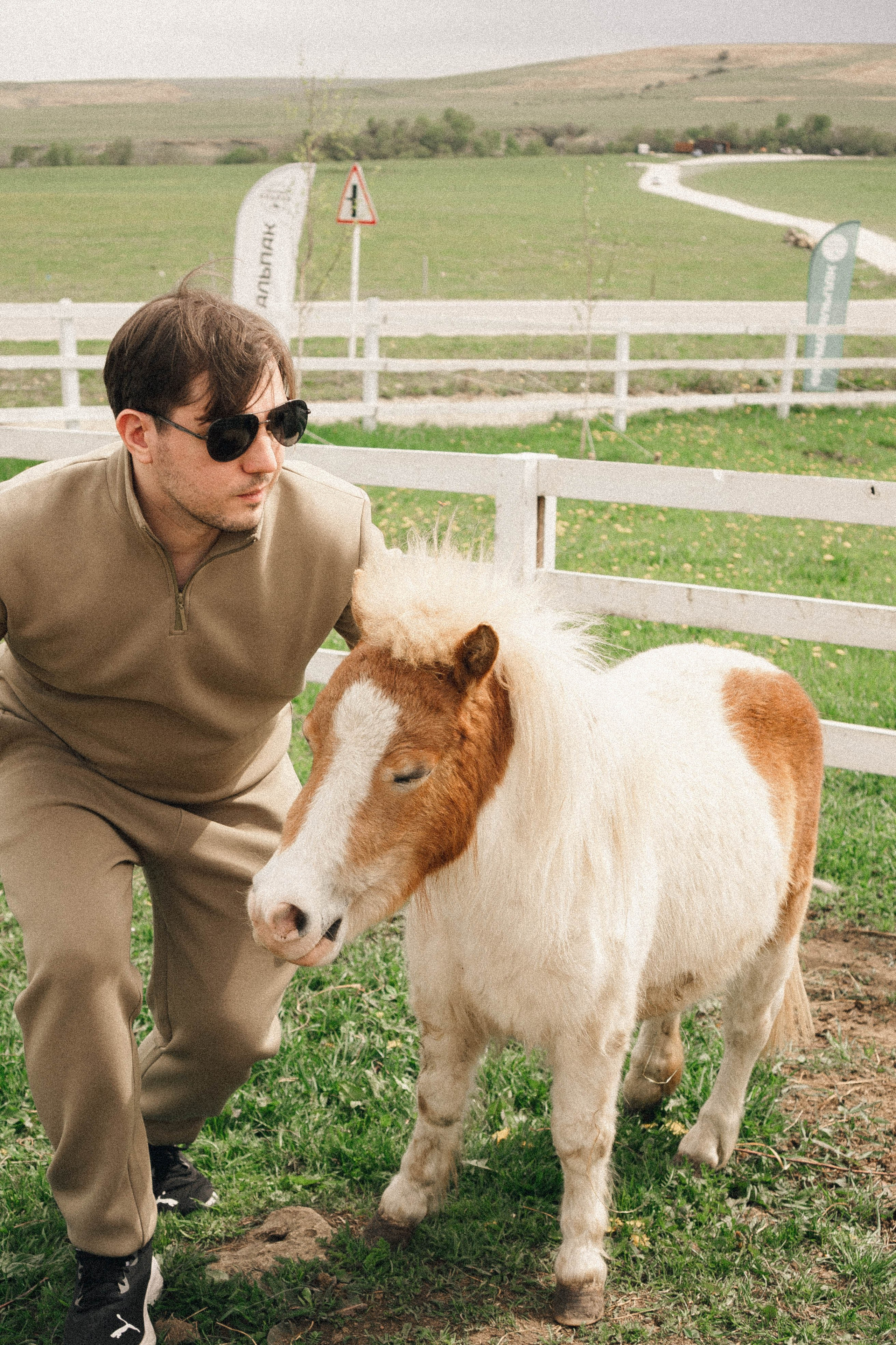 Ферма Альпак. Профессиональный фотограф, Санкт-Петербург — Виктория Богомолова