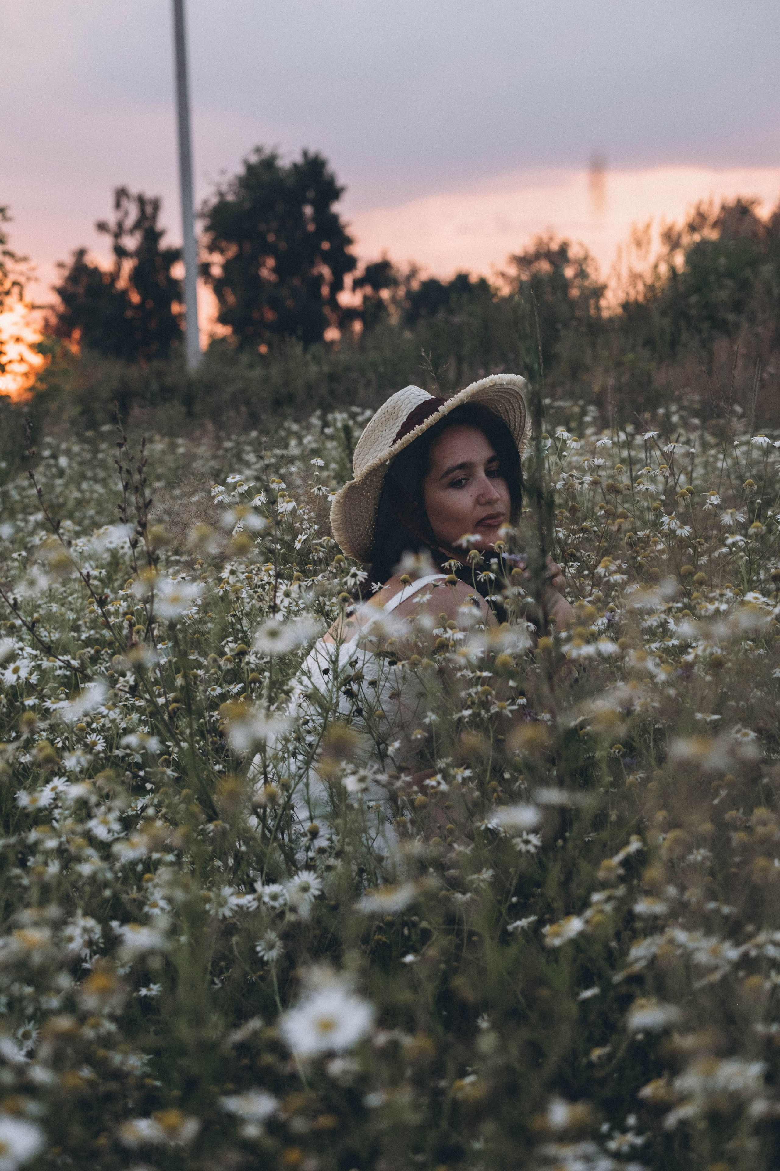 Ромашковое поле. Профессиональный фотограф, Санкт-Петербург — Виктория Богомолова
