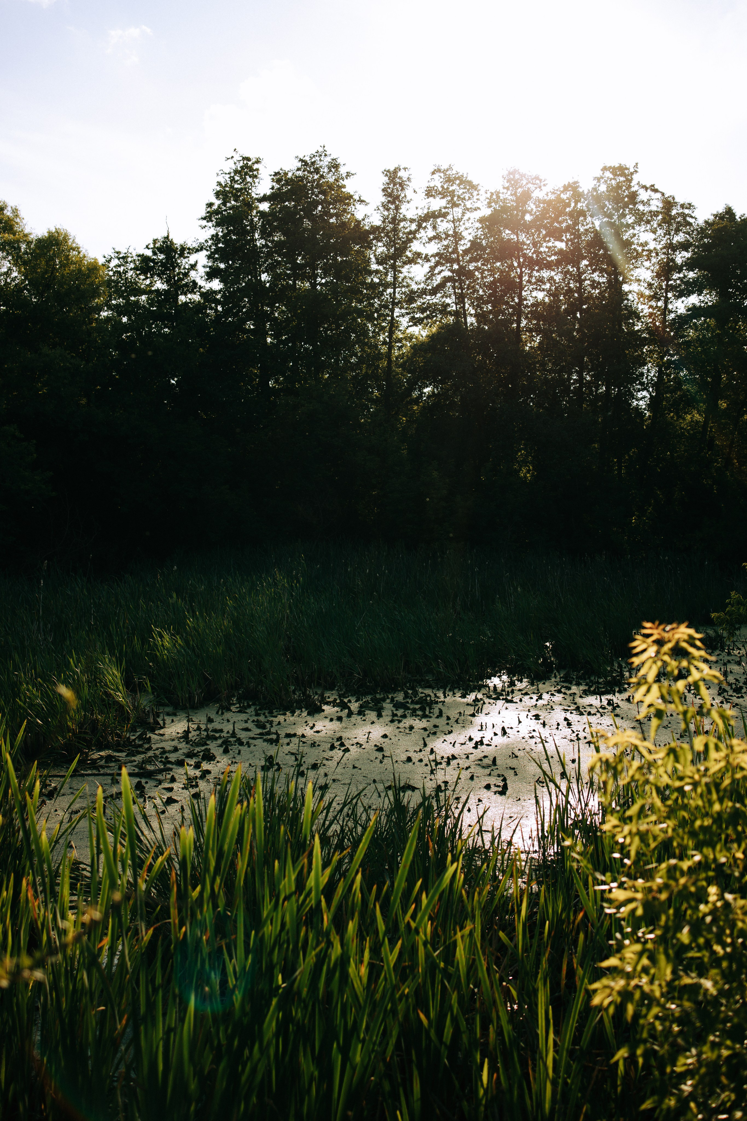 Стадион Металлург. Свадебный и семейный фотограф в Туле и области Маша Костина