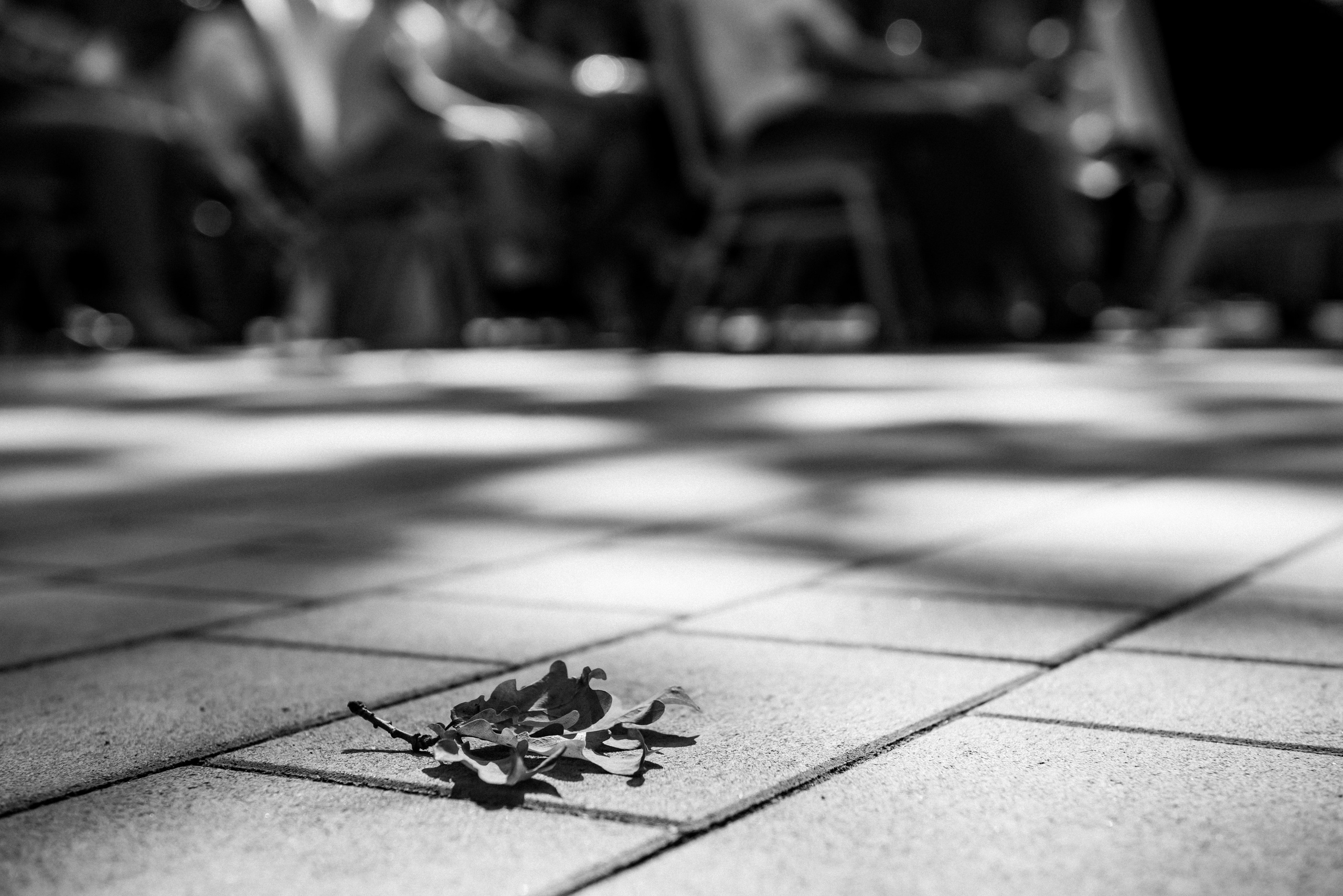 Я тебя от бед укрою…. Светлана Варфоломеева, женский и свадебный фотограф в Саратове